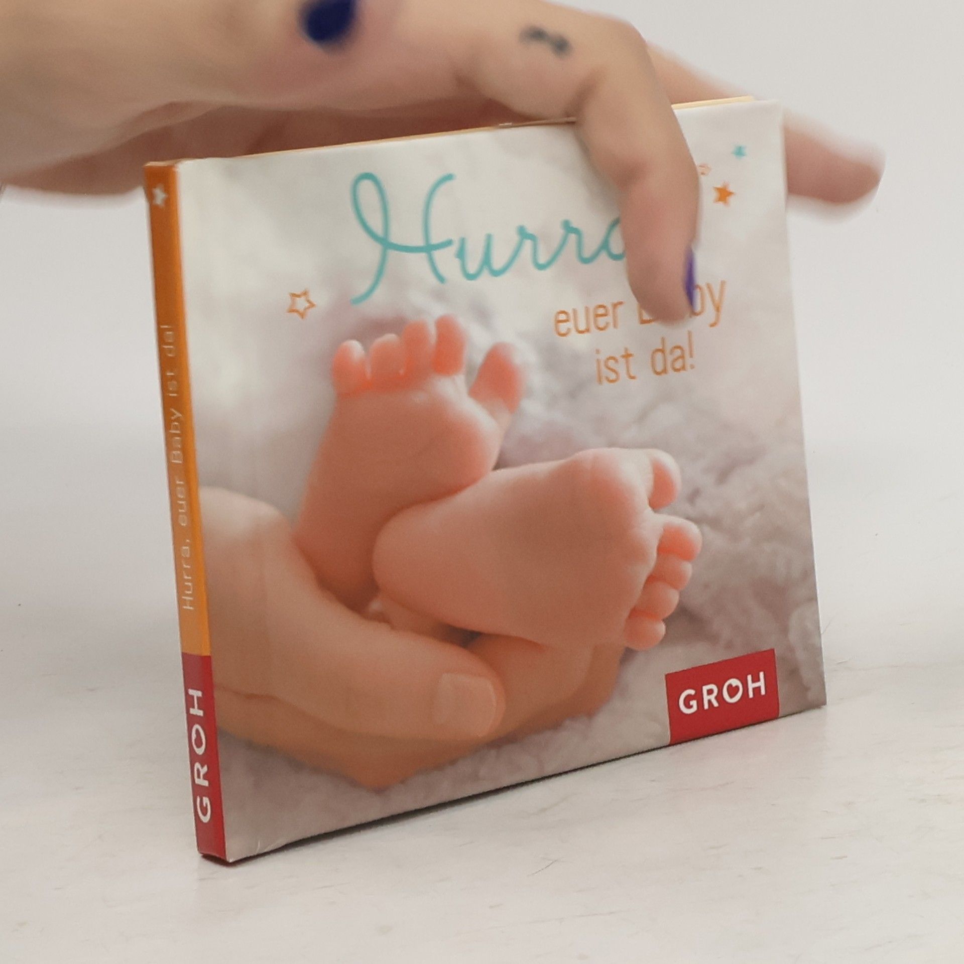 Dorothée Bleker Hurra, euer Baby ist da!