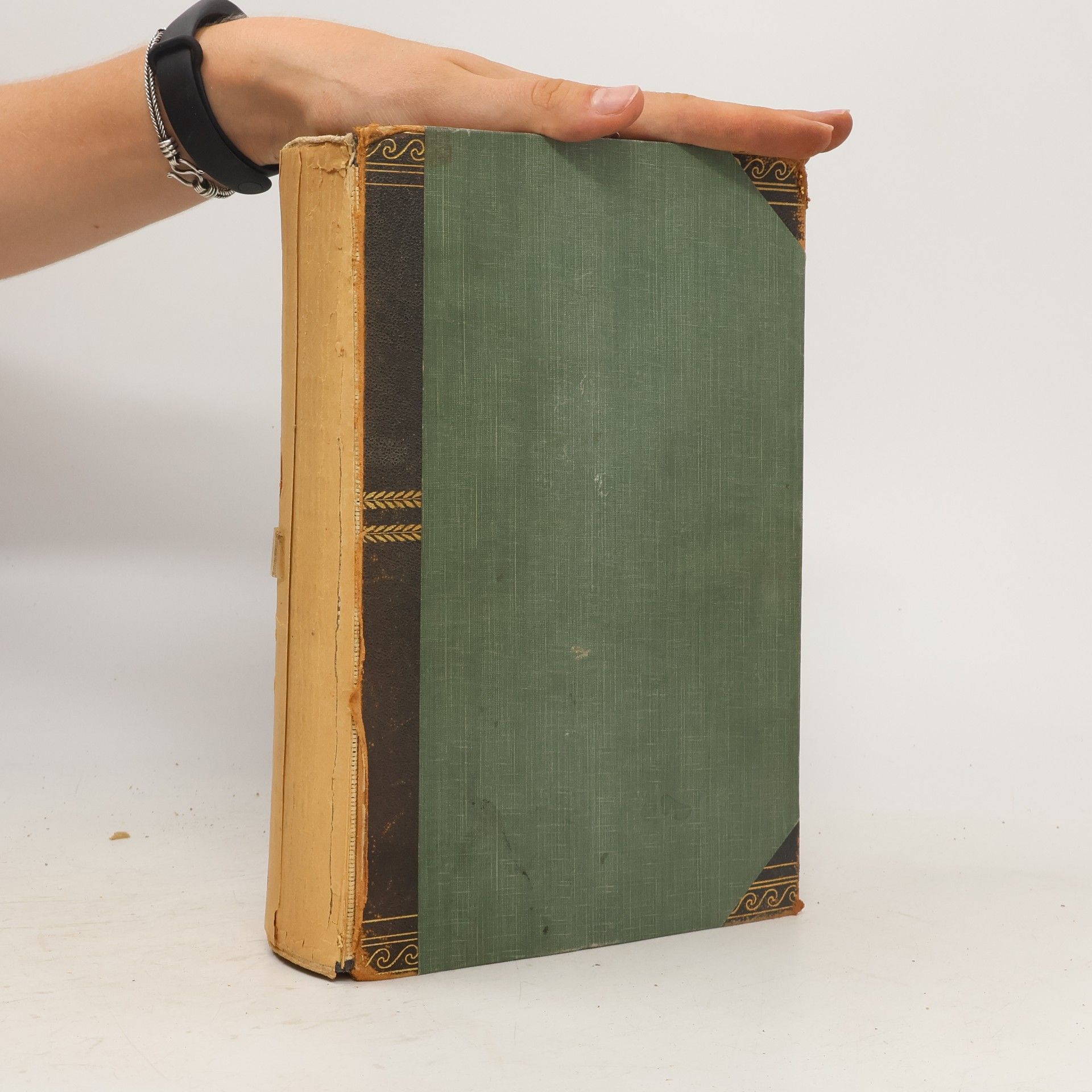 Collectif d'auteurs Brockhaus Konversations Lexikon 11