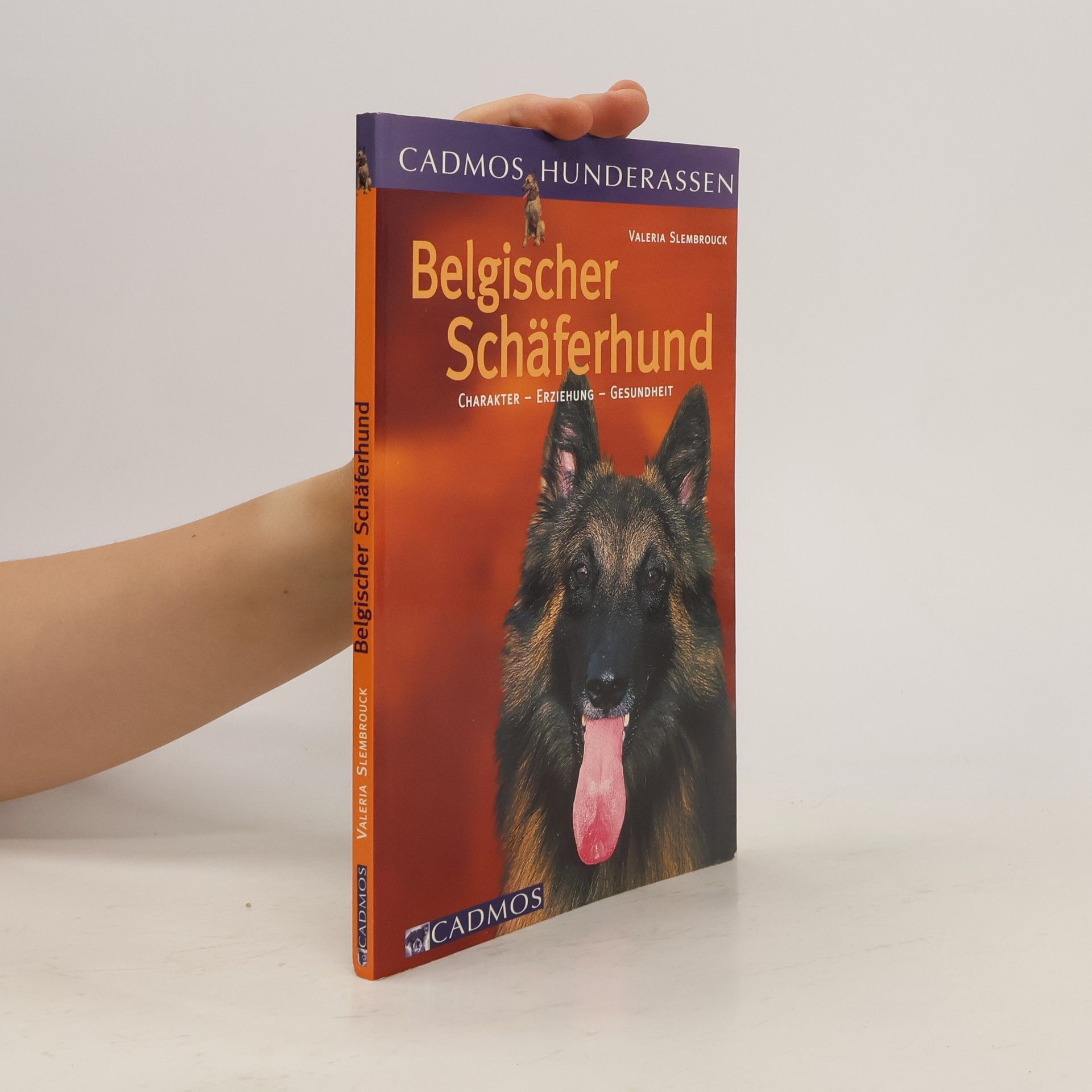 Valeria Slembrouck Belgischer Schäferhund