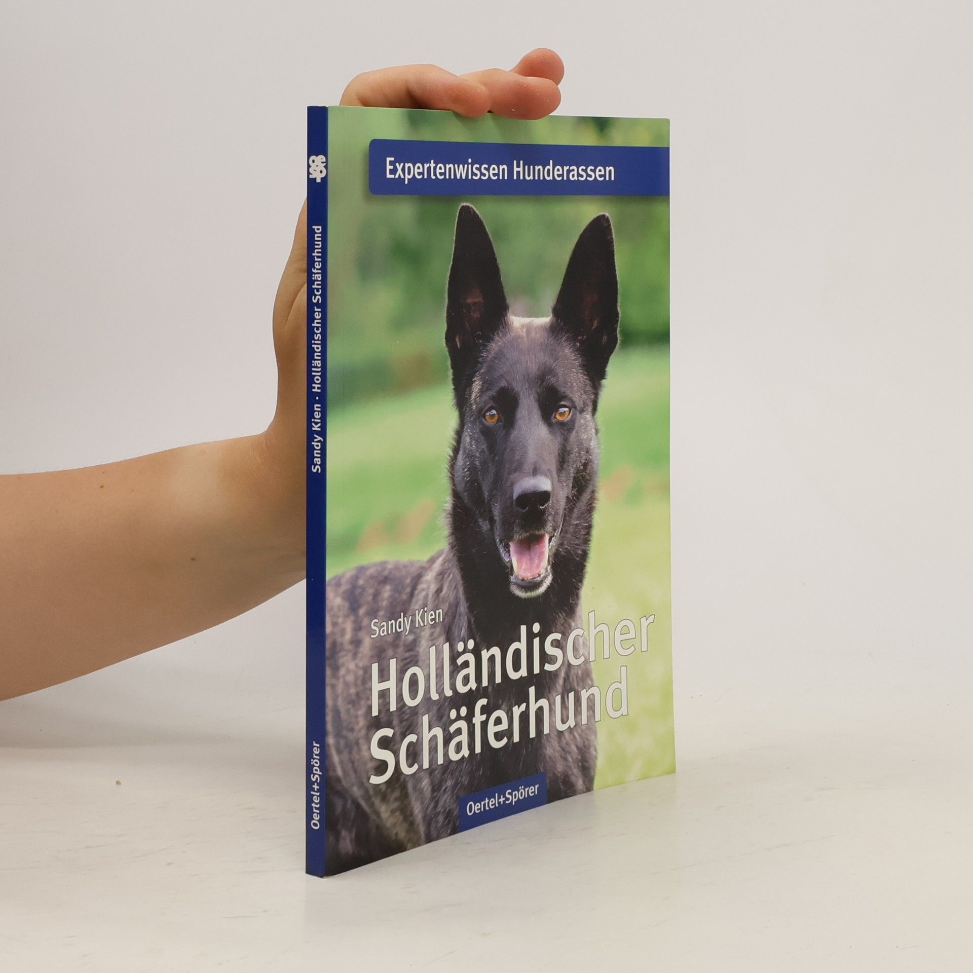 Sandy Kien Holländischer Schäferhund