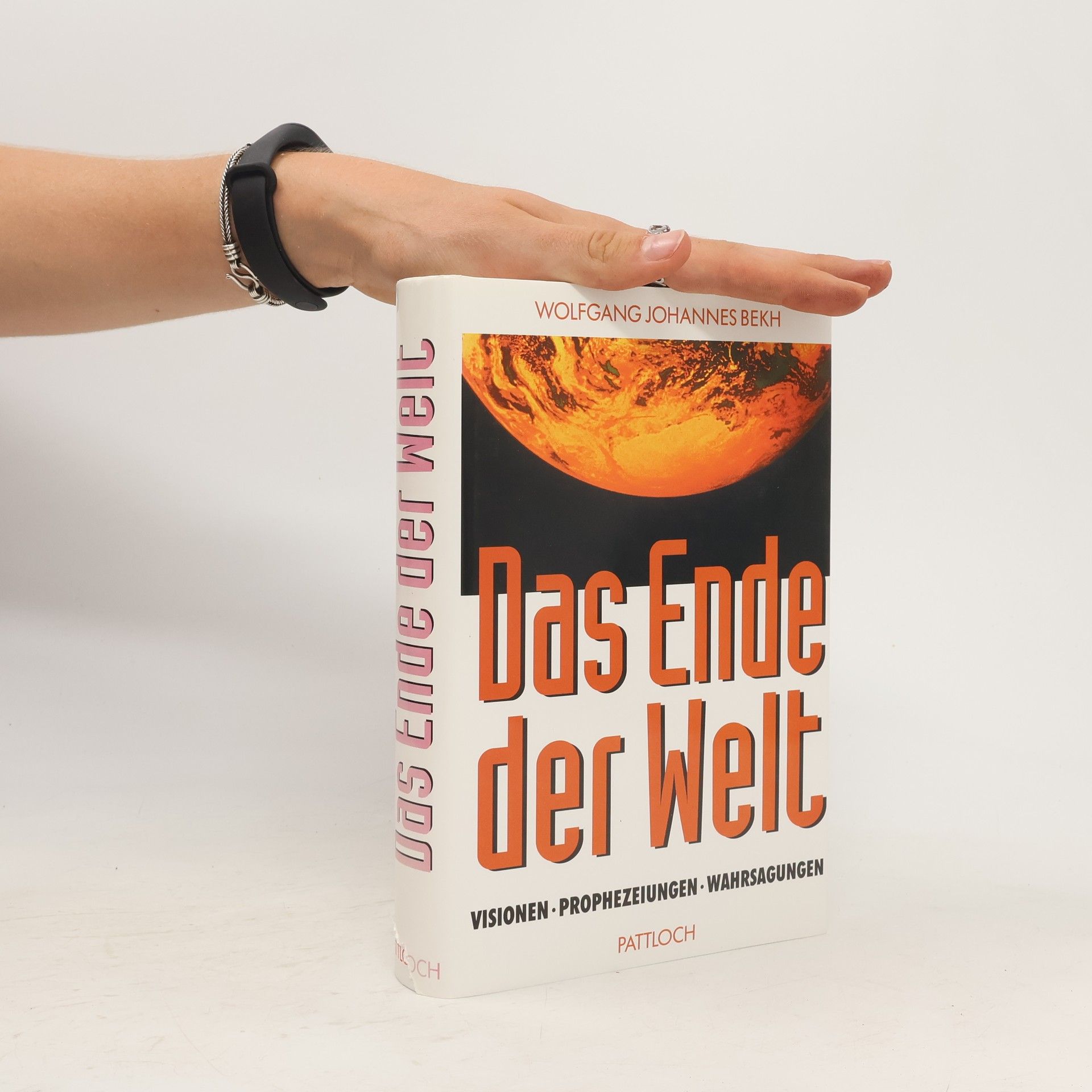 Wolfgang Johannes Bekh Das Ende der Welt
