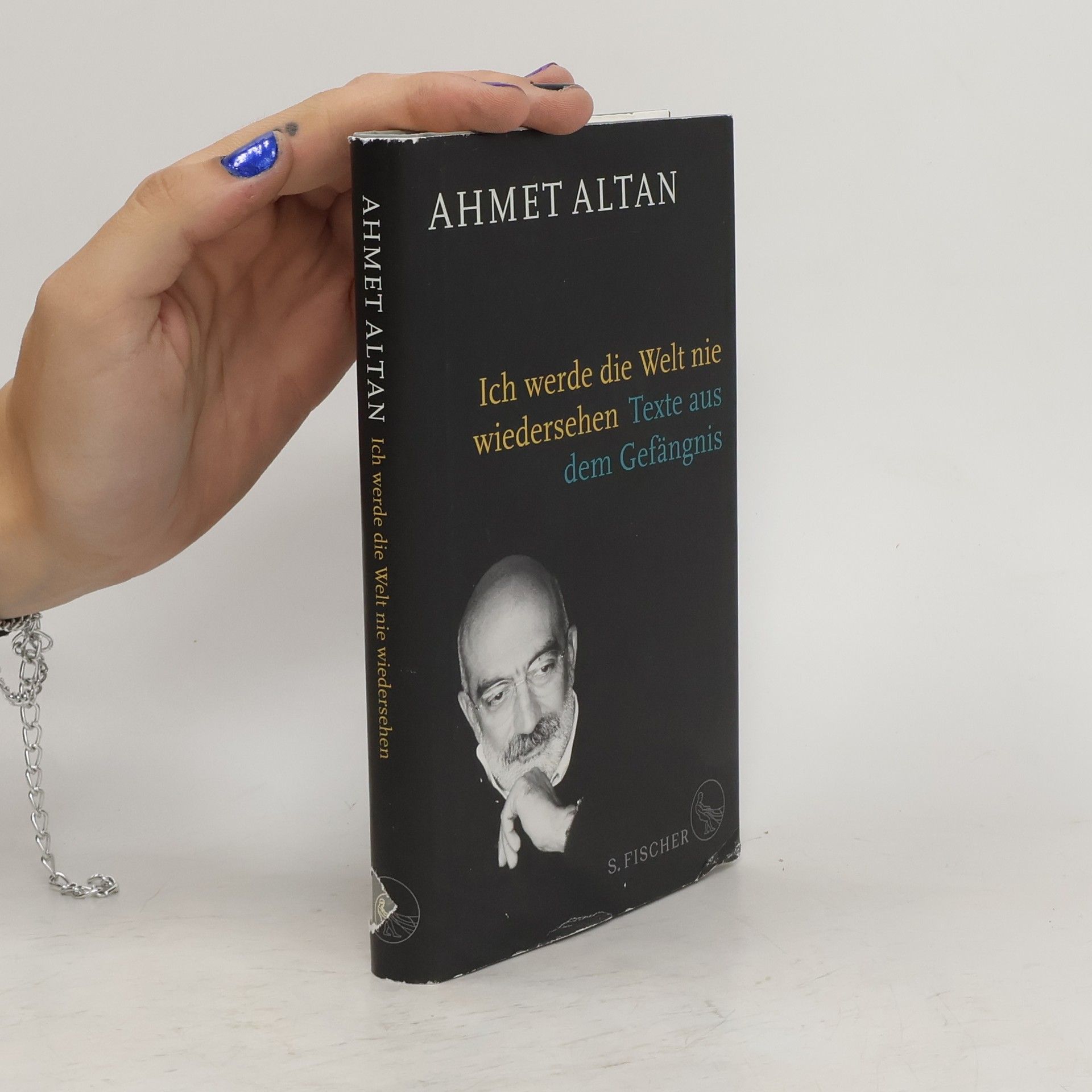 Ahmet Altan Ich werde die Welt nie wiedersehen