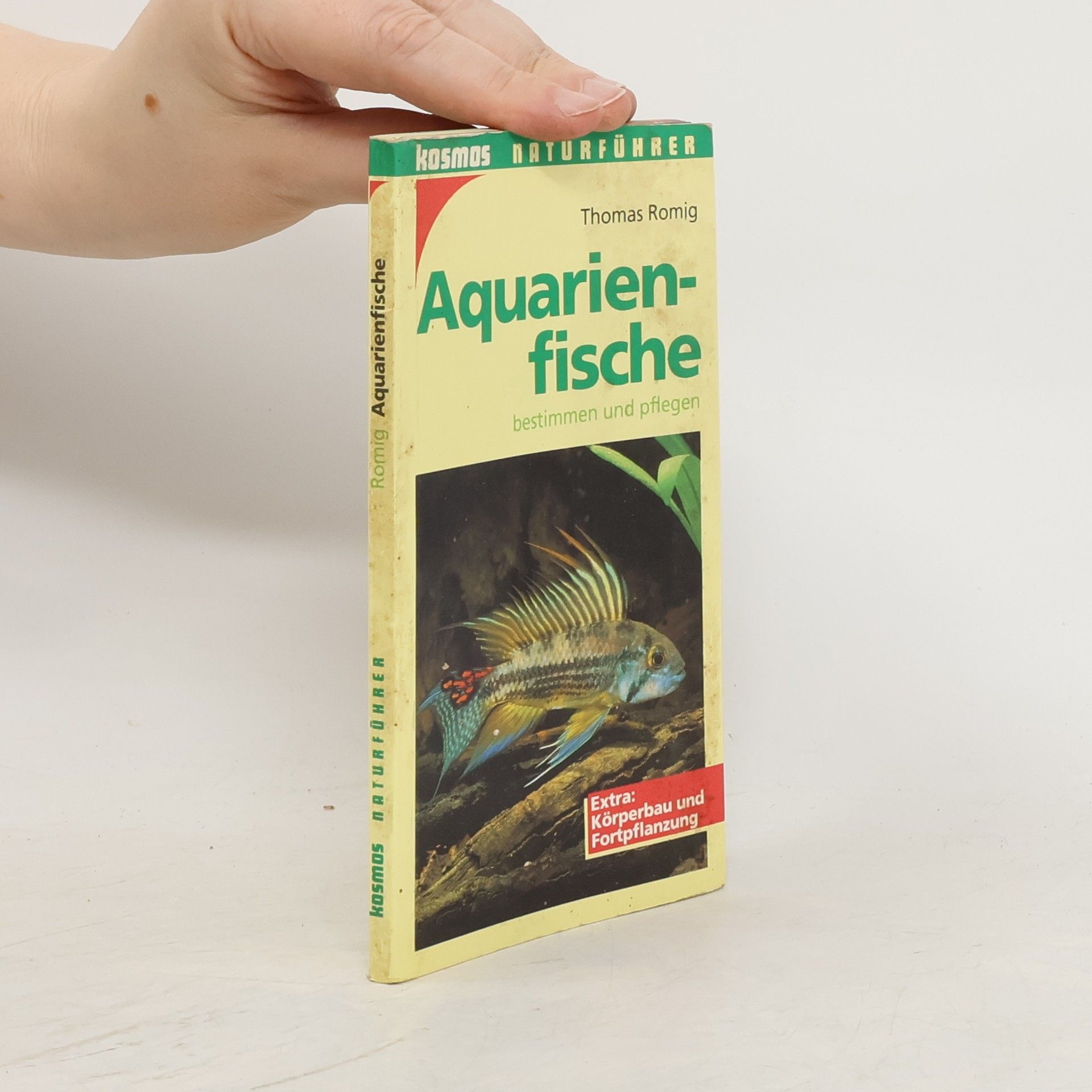 Thomas Romig Aquarienfische