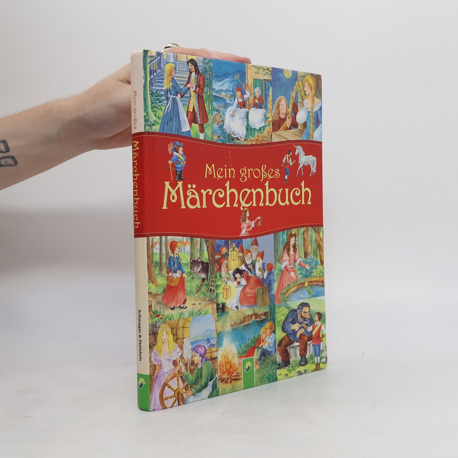 Dagmar Kammerer Mein großes Märchenbuch