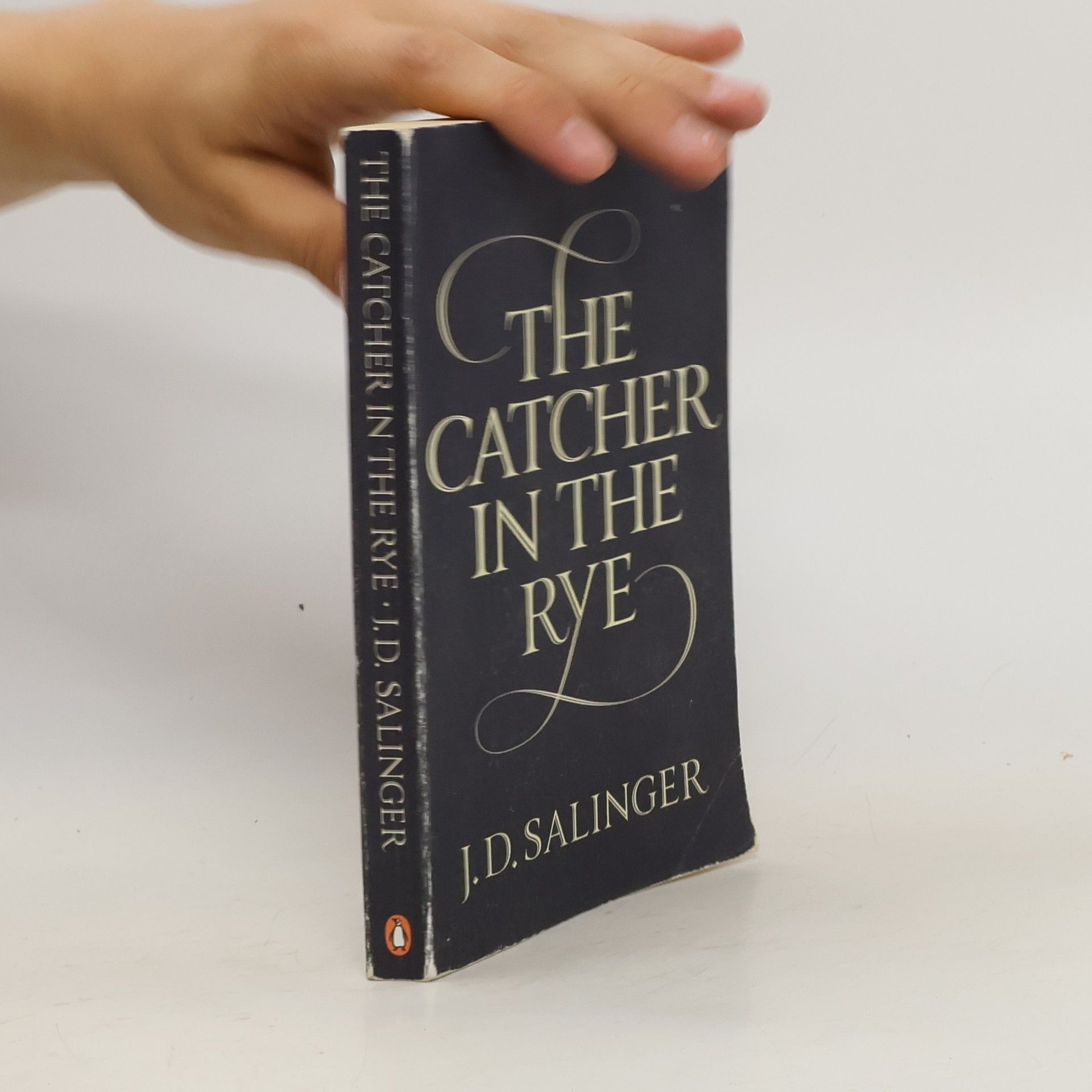 Jerome David Salinger The catcher in the rye. (Kdo chytá v žitě)