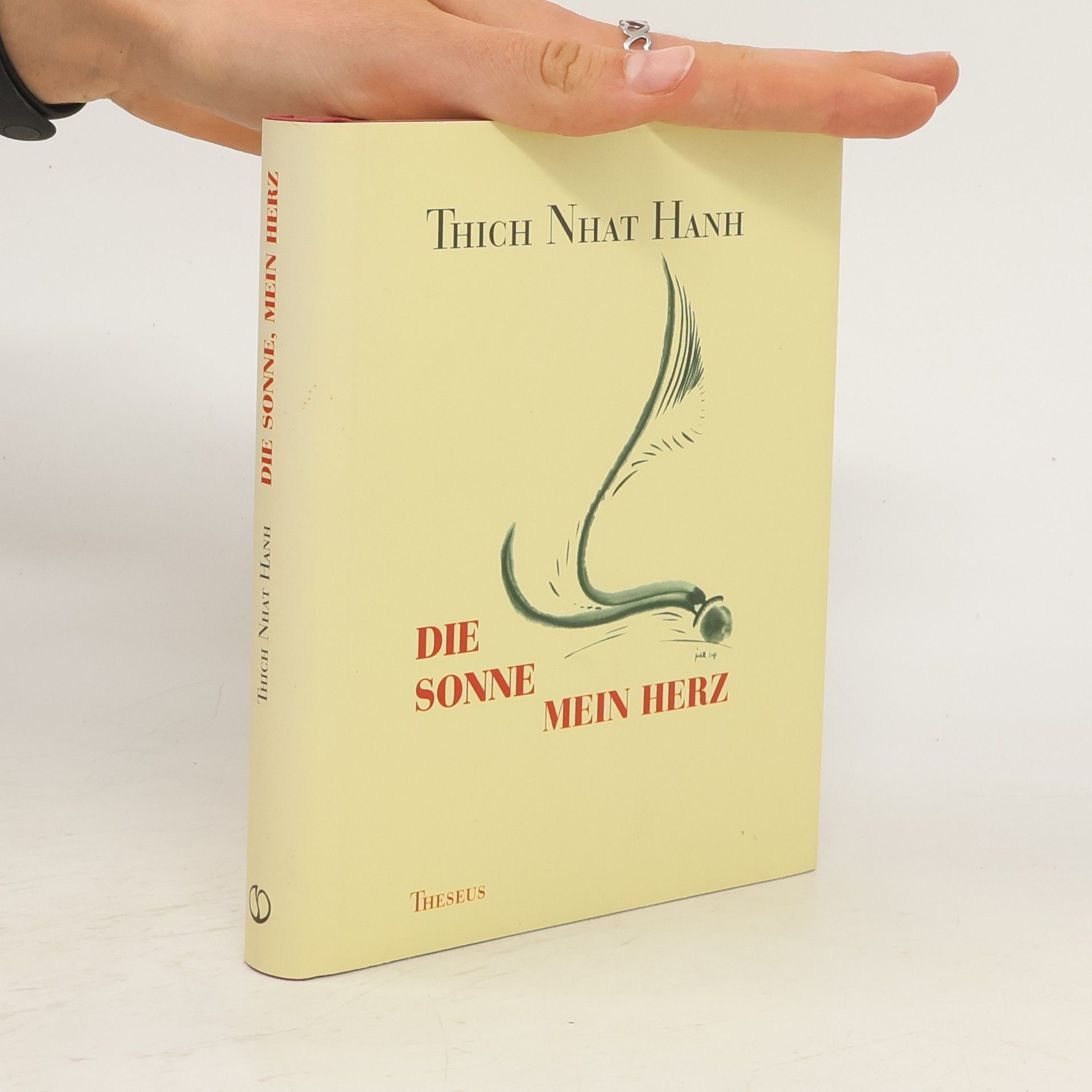 Thicht Nhat Hanh Die Sonne, mein Herz