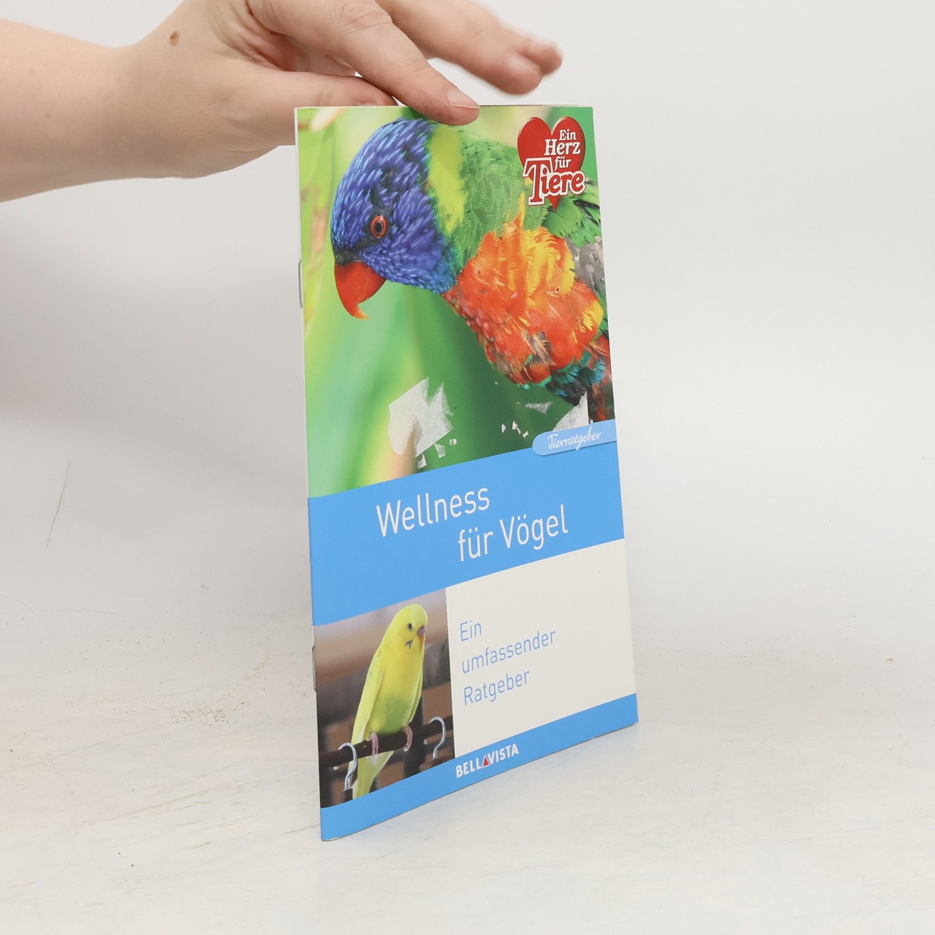 Collective Wellness für Vögel