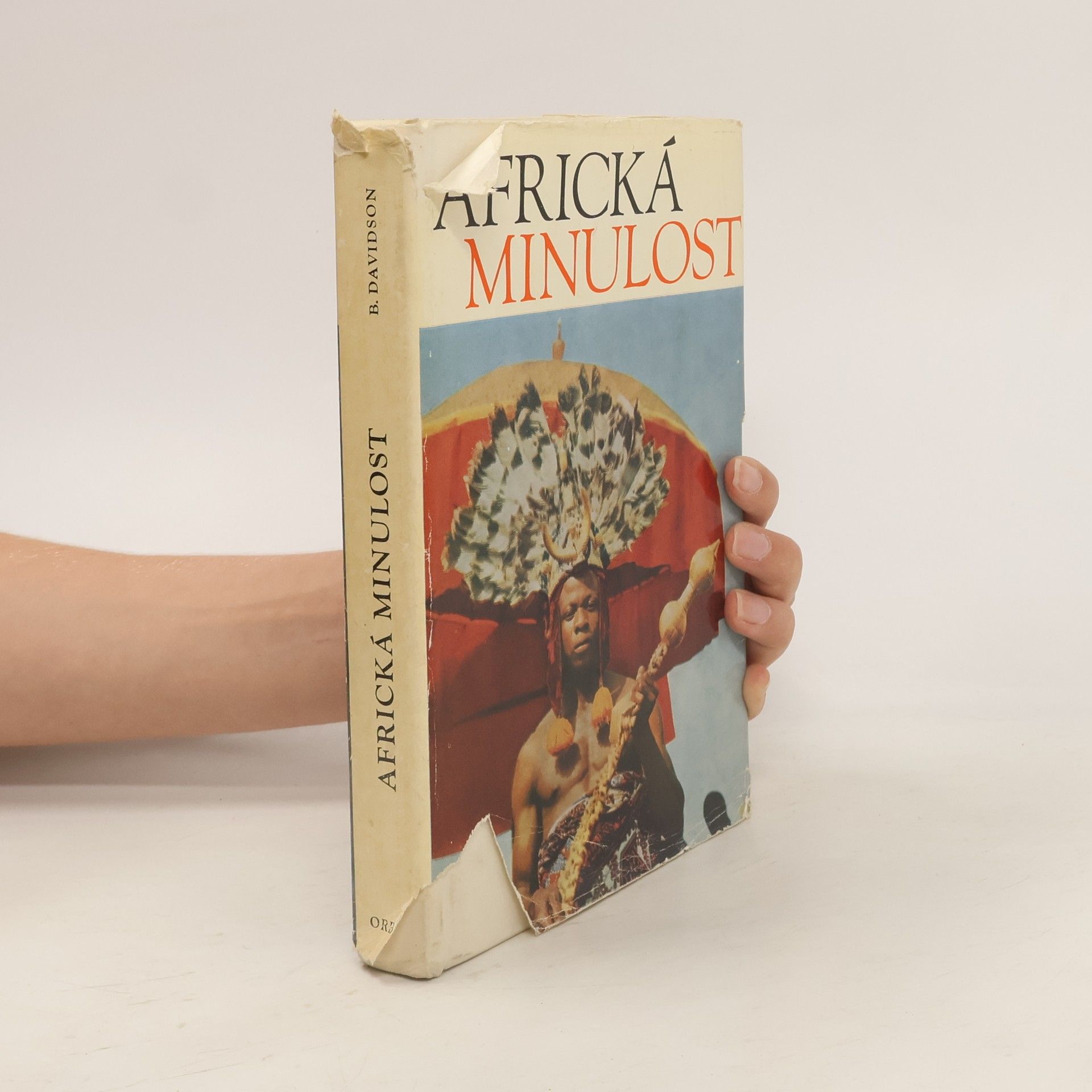 Pai-ch'i-erh Tai-wei-hsün Africká minulost