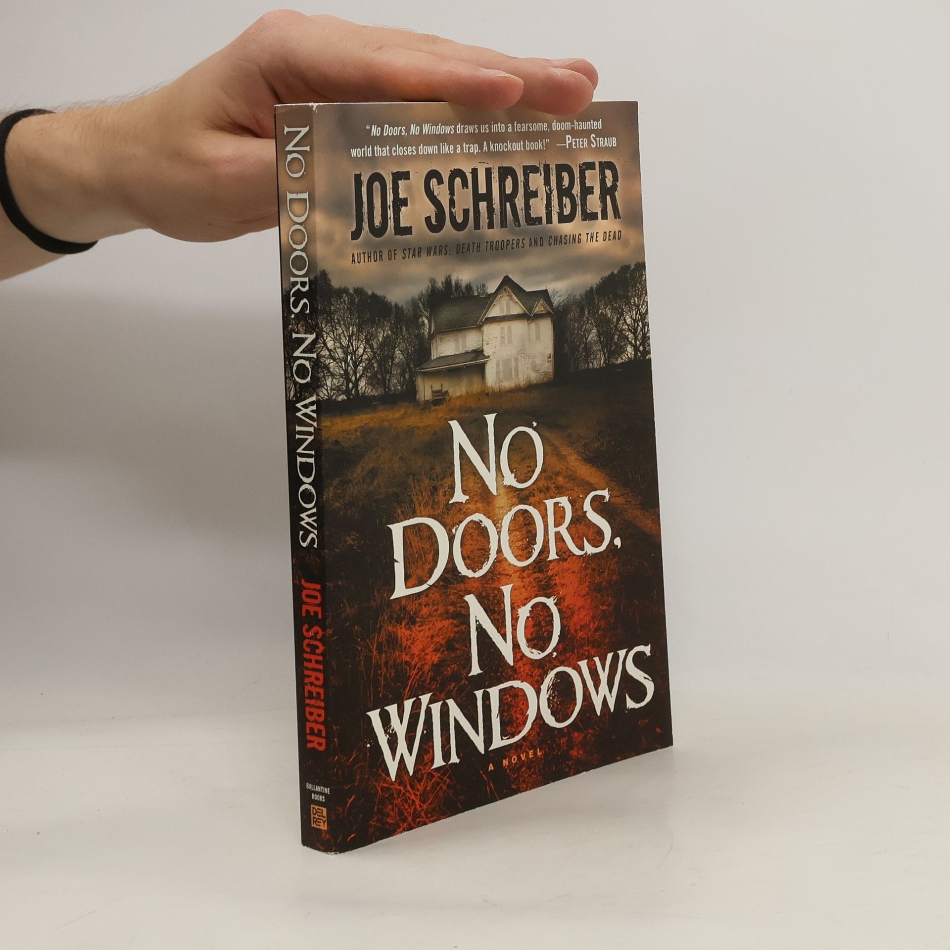 Joe Schreiber No Doors, No Windows