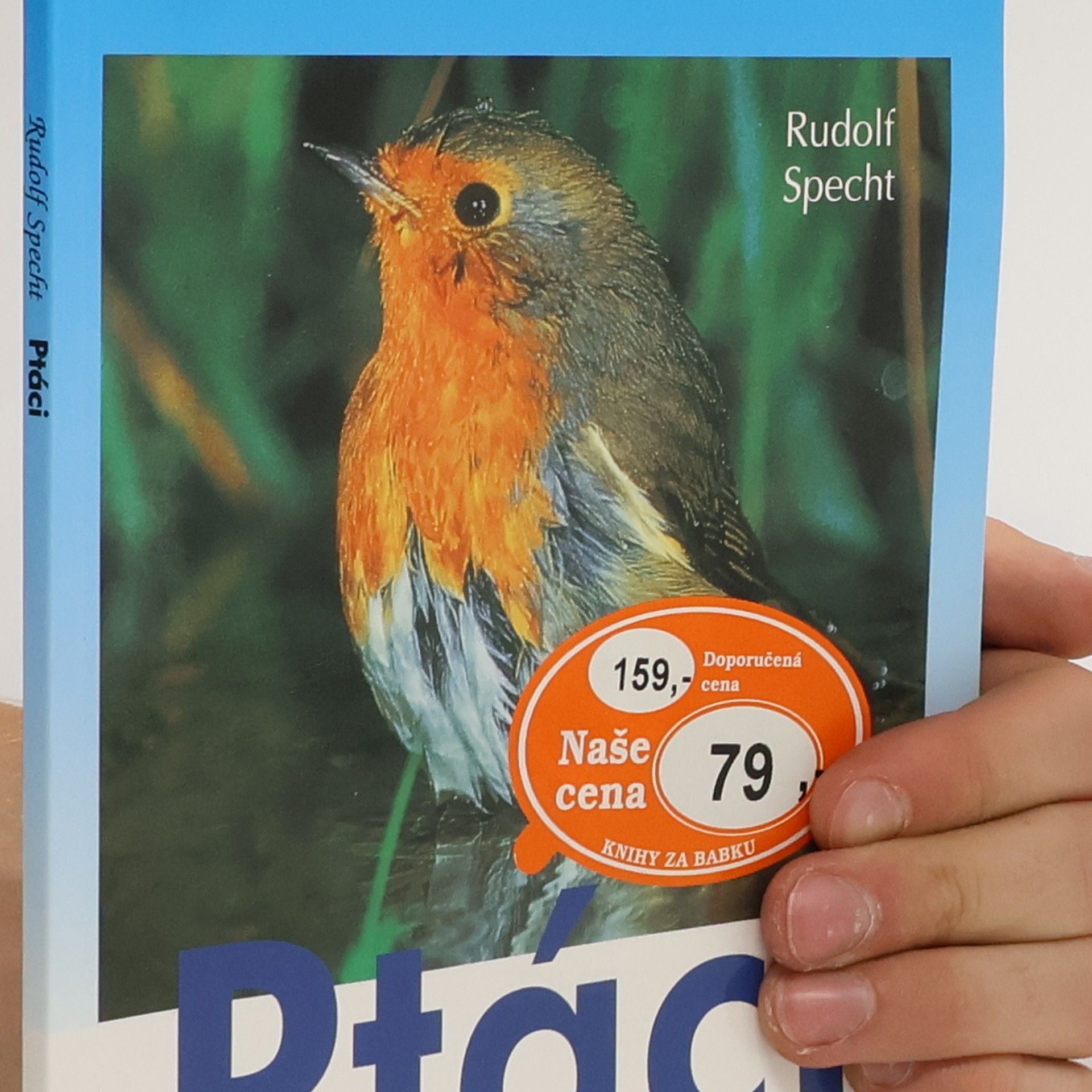 Rudolf Specht Ptáci našich zahrad