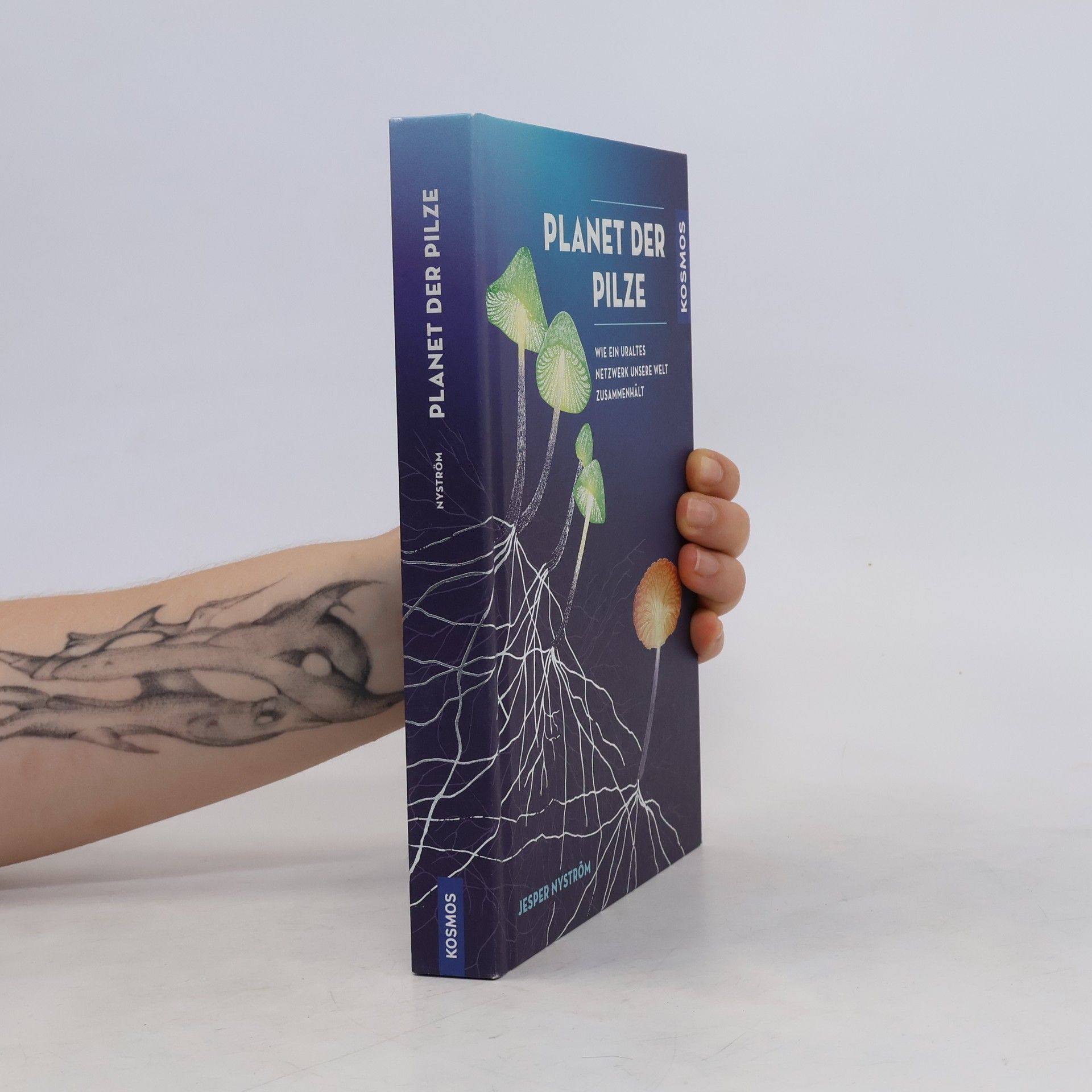 Jesper Nyström Planet der Pilze