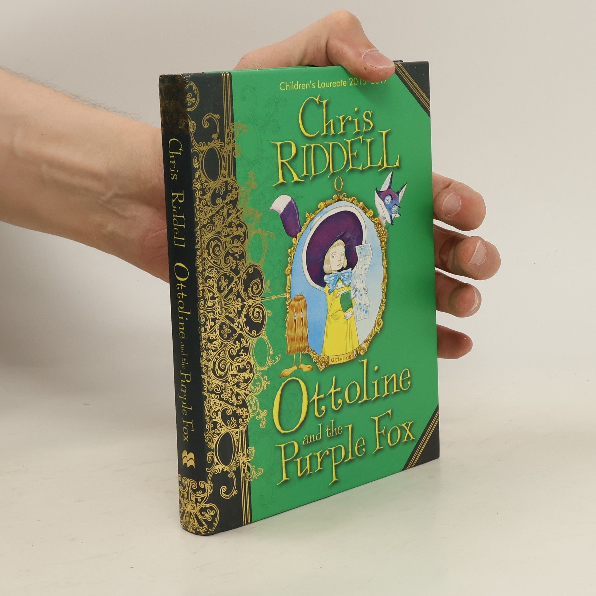 Chris Riddell Ottoline and the Purple Fox