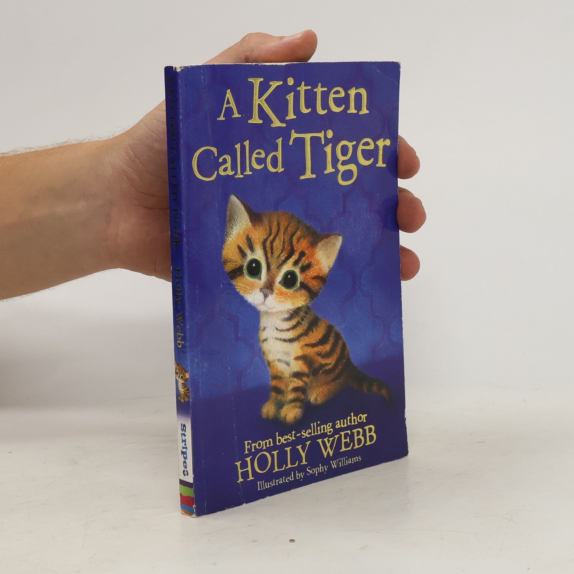 Holly Webb A Kitten Called Tiger