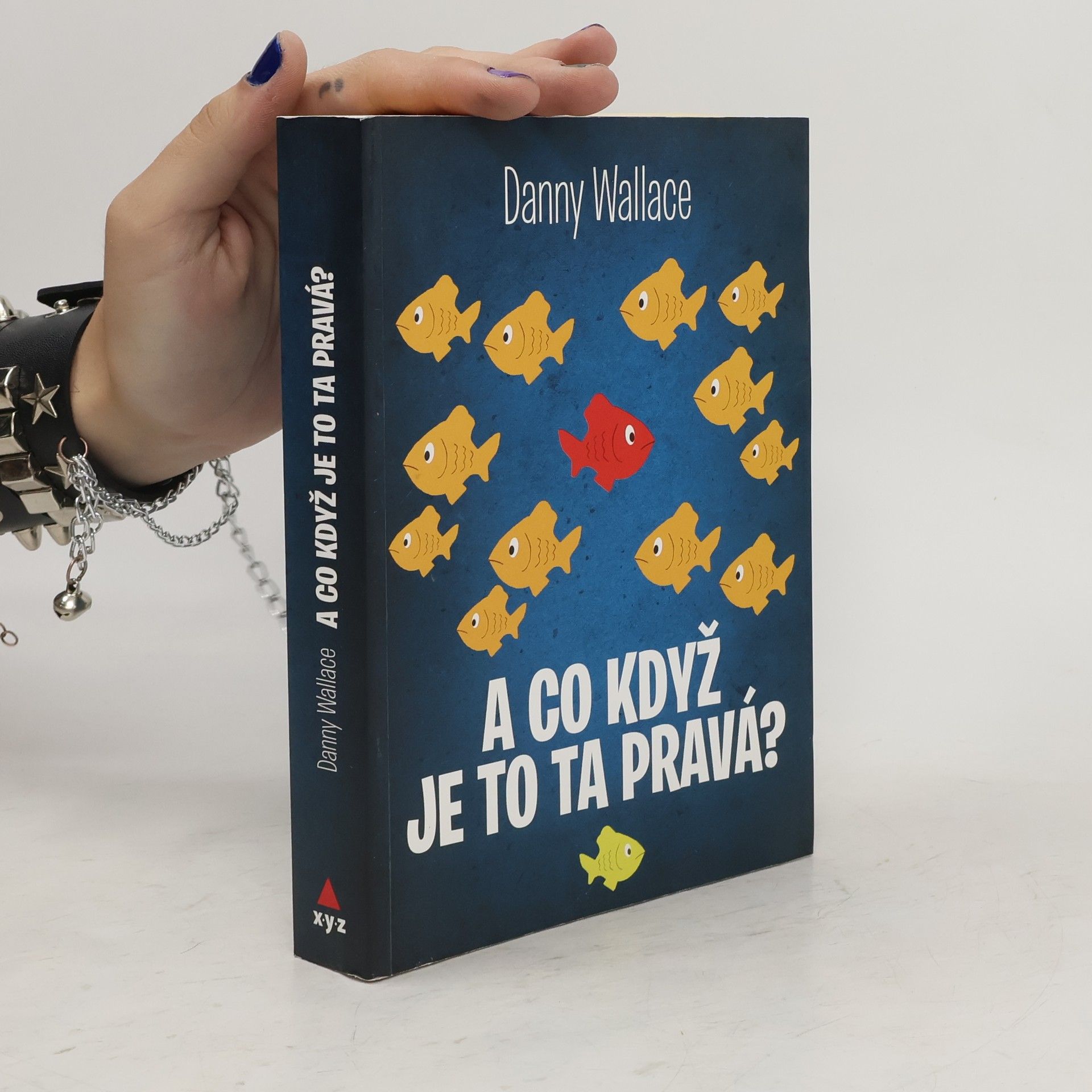 Danny Wallace A co když je to ta pravá?