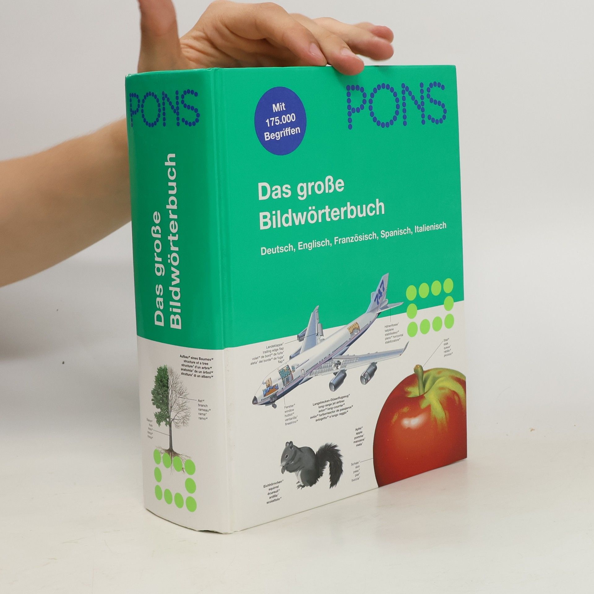 Jean-Claude Corbeil Pons Das große Bildwörterbuch