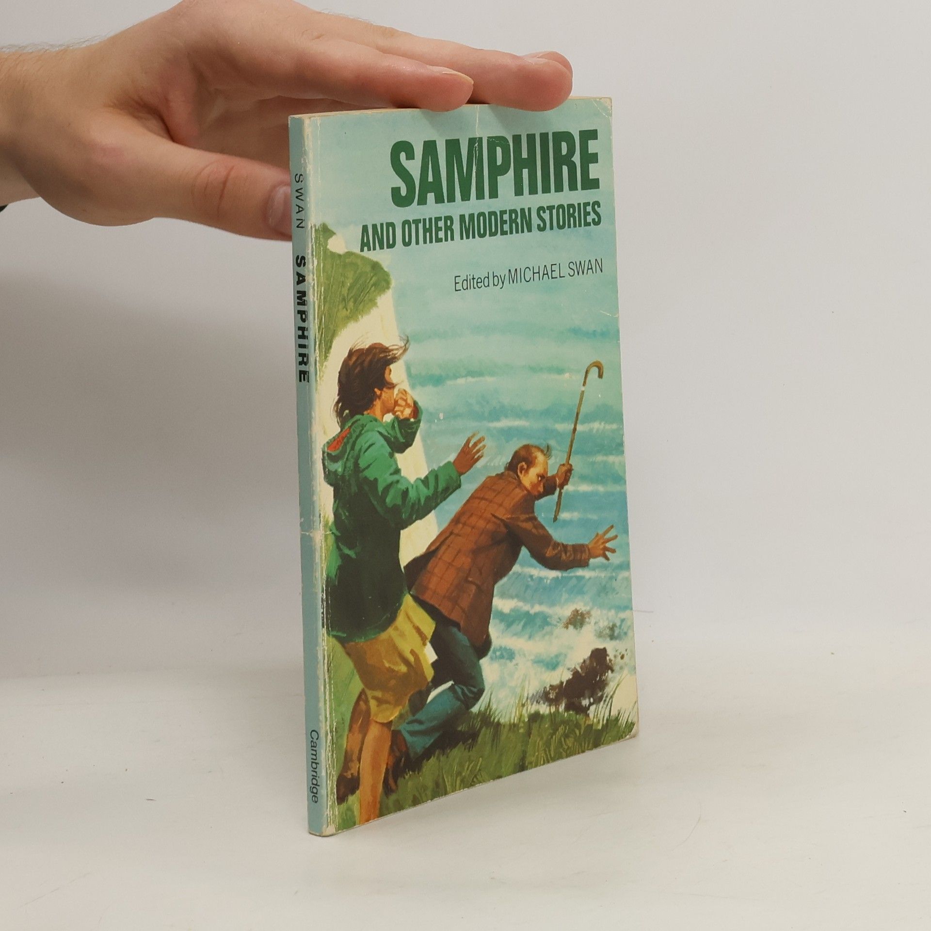 Michael Swan Samphire and Other Modern Stories
