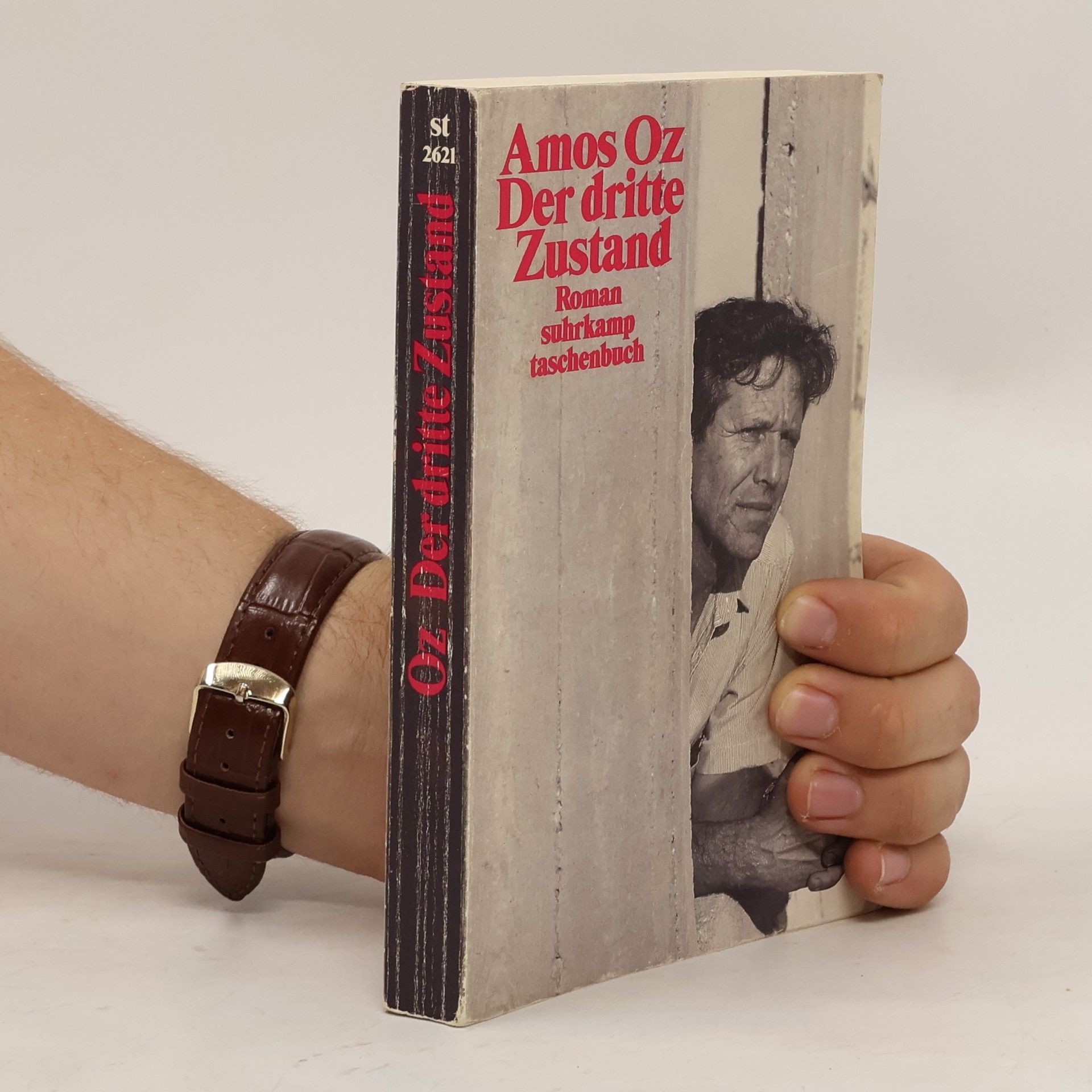 Amos Oz Der dritte Zustand