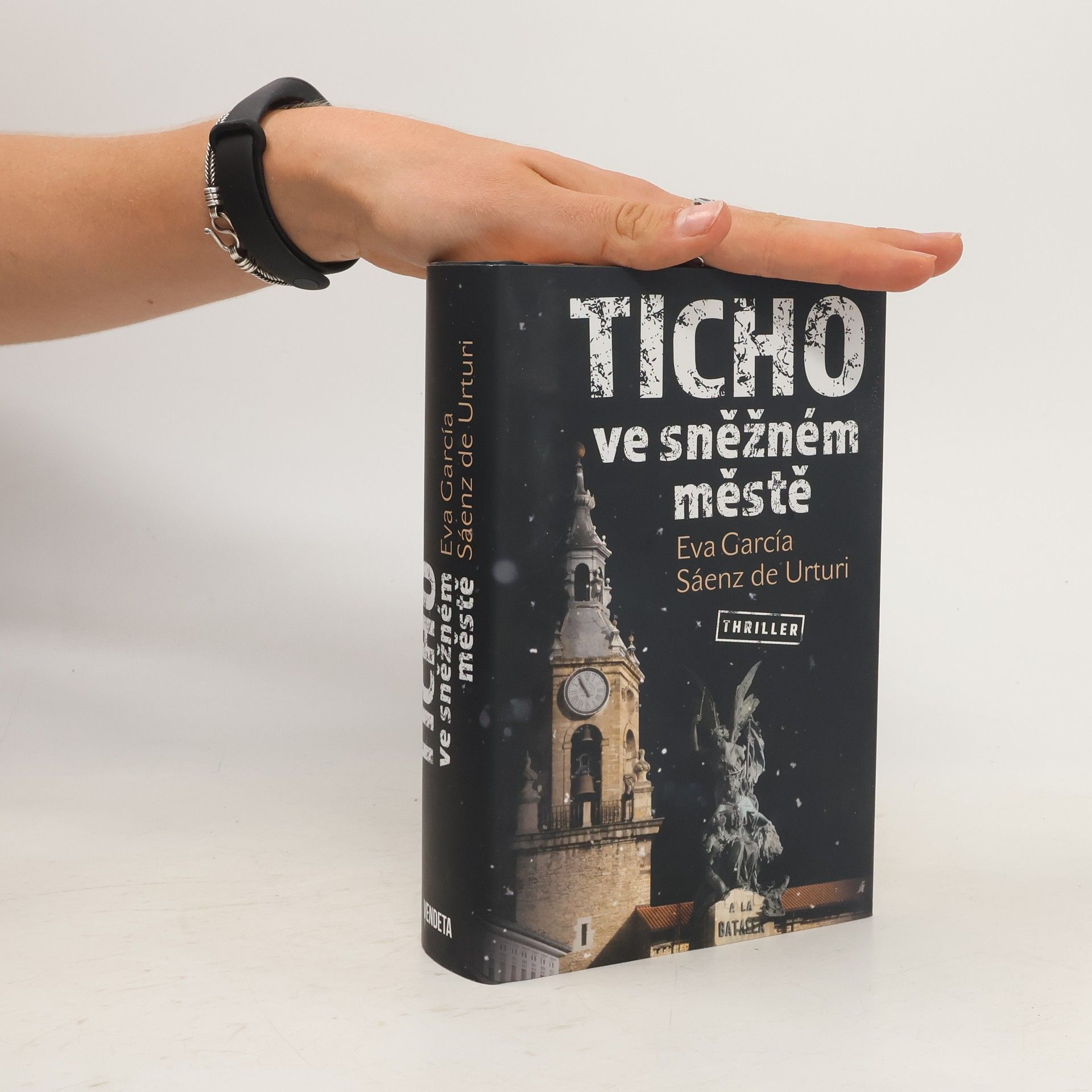 Eva García Sáenz Ticho ve sněžném městě