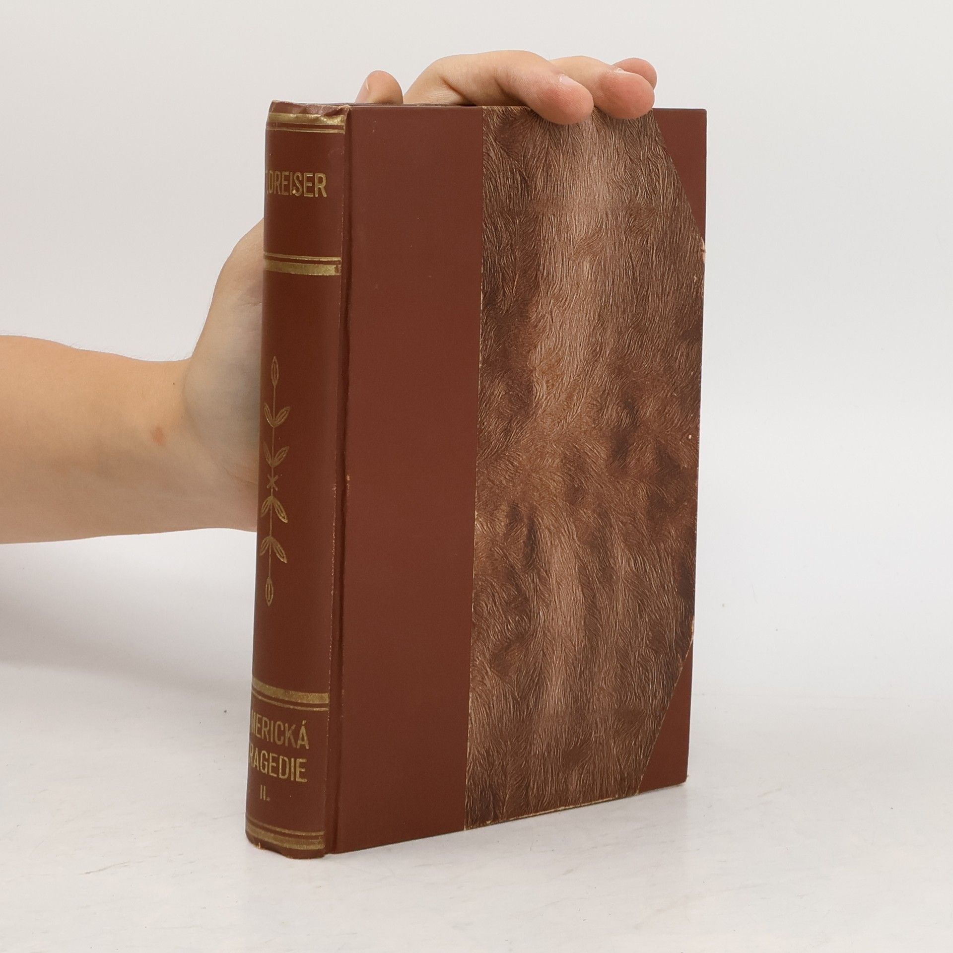 Theodore Dreiser Americká tragedie II