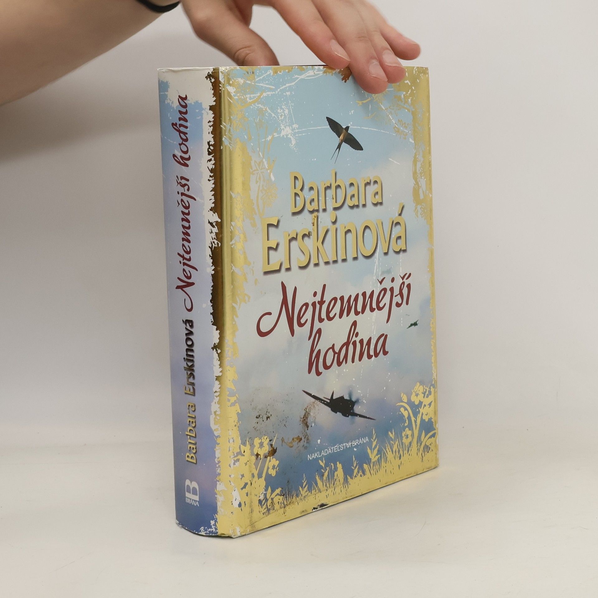Barbara Erskine Nejtemnější hodina