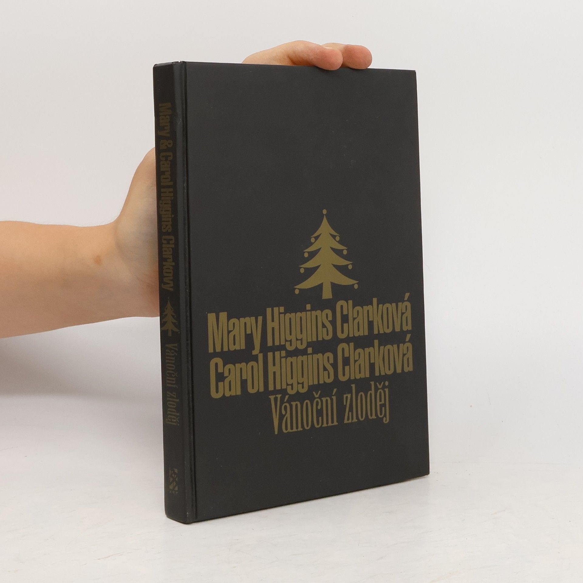 Mary Higginsová Clarková Vánoční zloděj