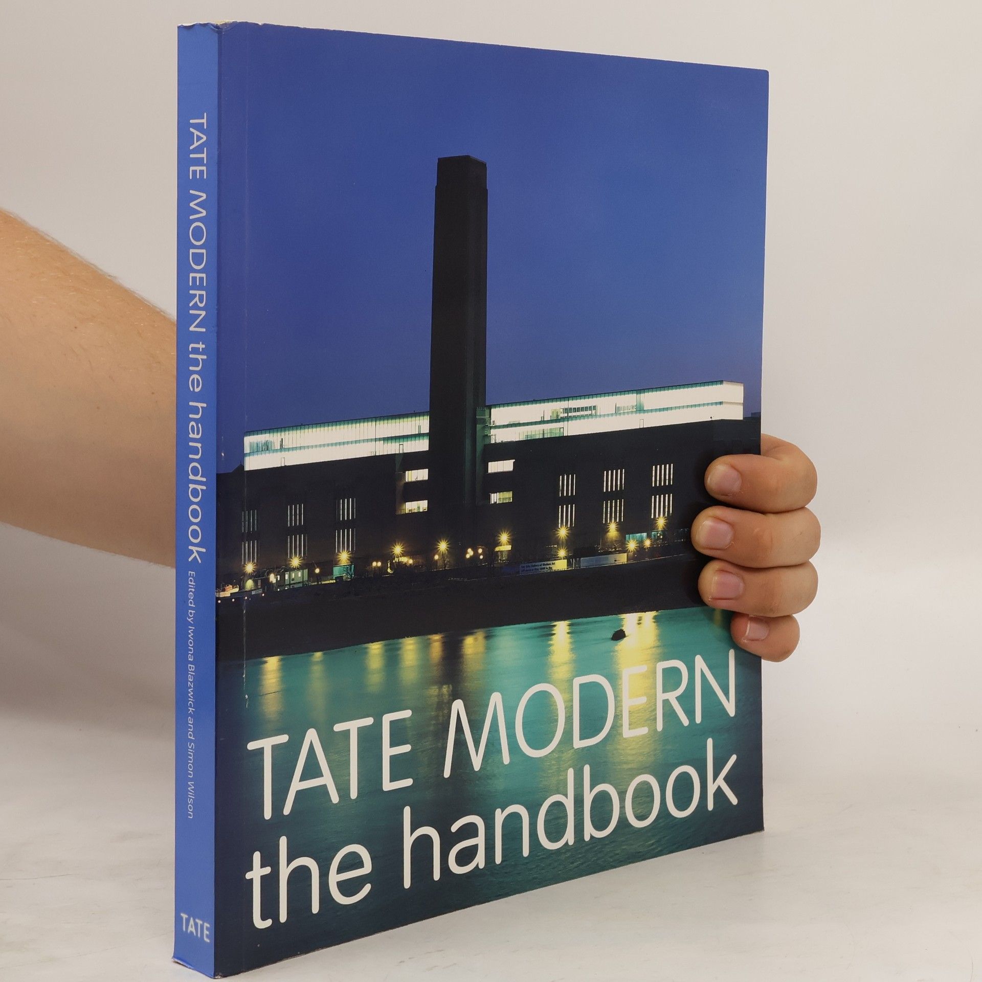 Simon Wilson Tate Modern, the Handbook