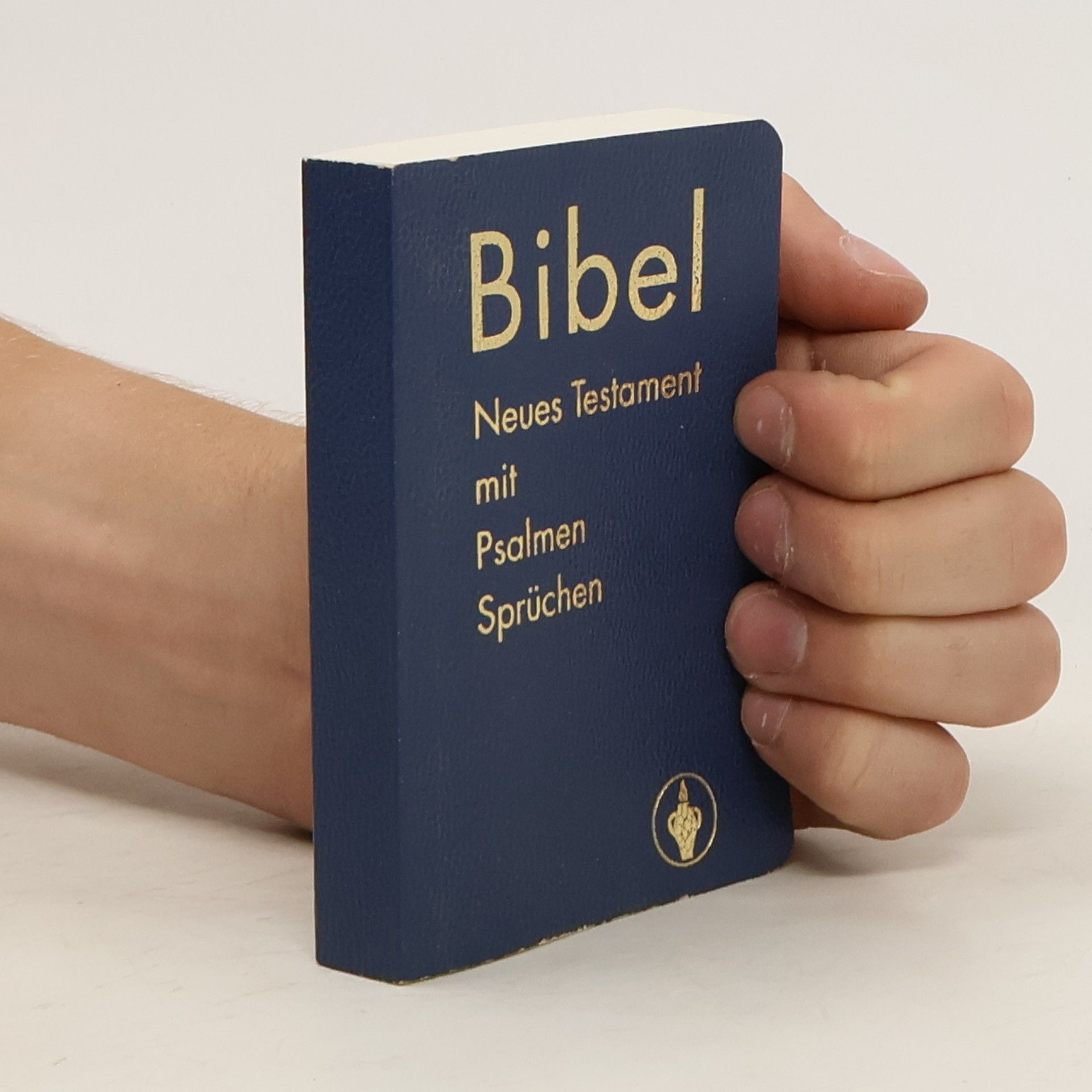 Collectif d'auteurs Bibel Neues Testament mit Psalmen Sprüchen