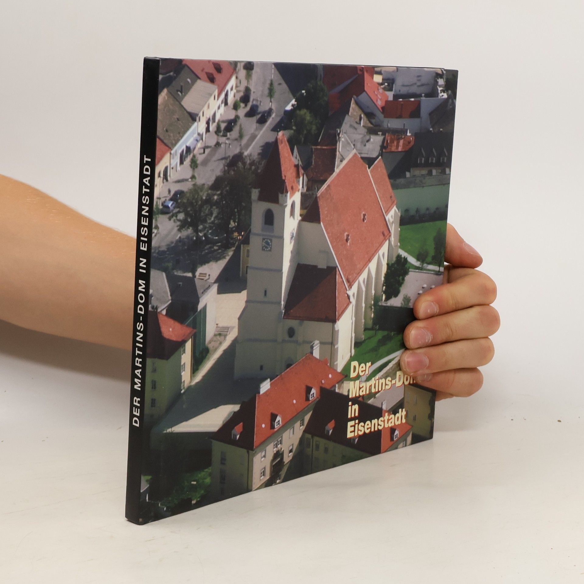 Autorenkollektiv Der Martins-Dom in Eisenstadt