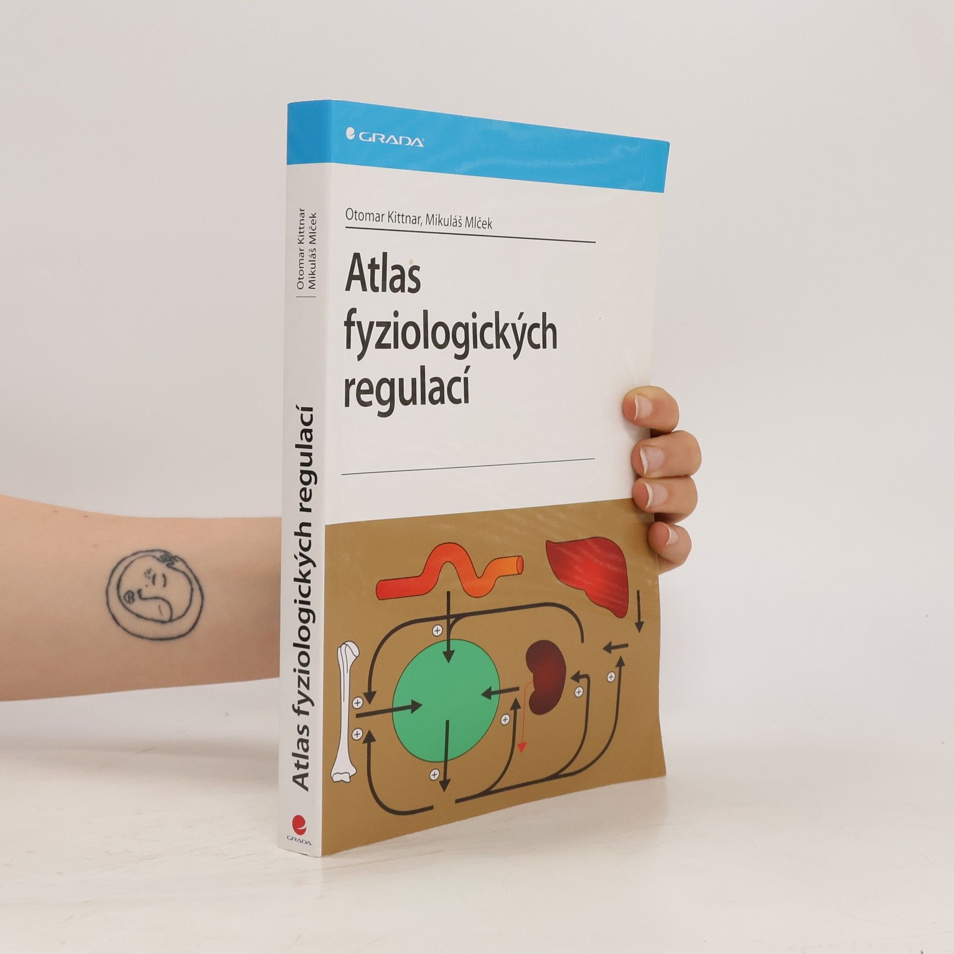 Otomar Kittnar Atlas fyziologických regulací. 329 schémat