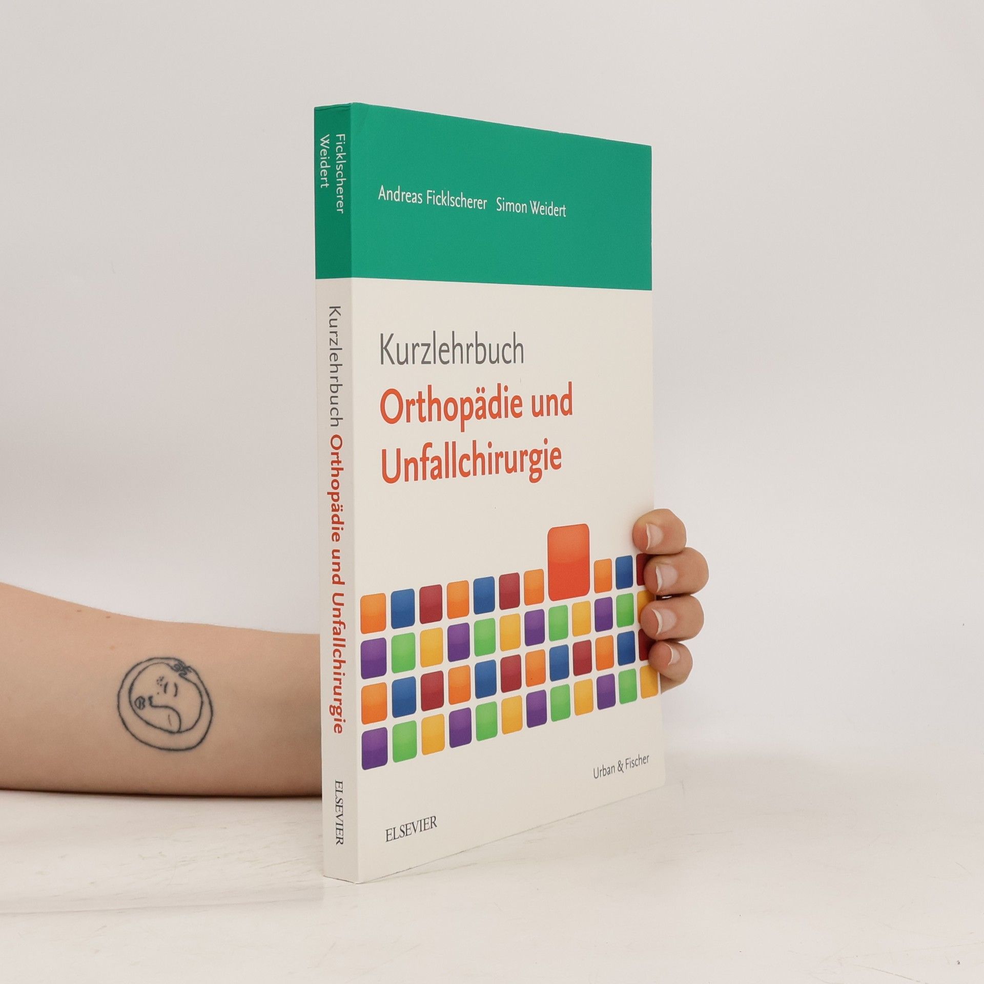 Andreas Ficklscherer Kurzlehrbuch Orthopädie und Unfallchirurgie