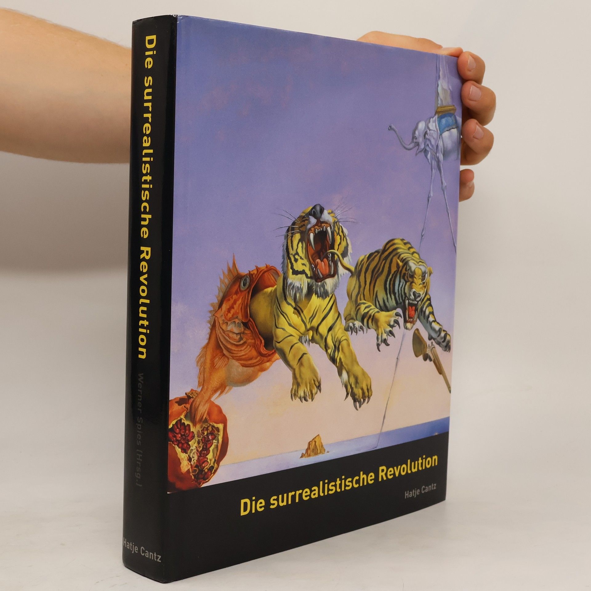 Werner Spies Die surrealistische Revolution