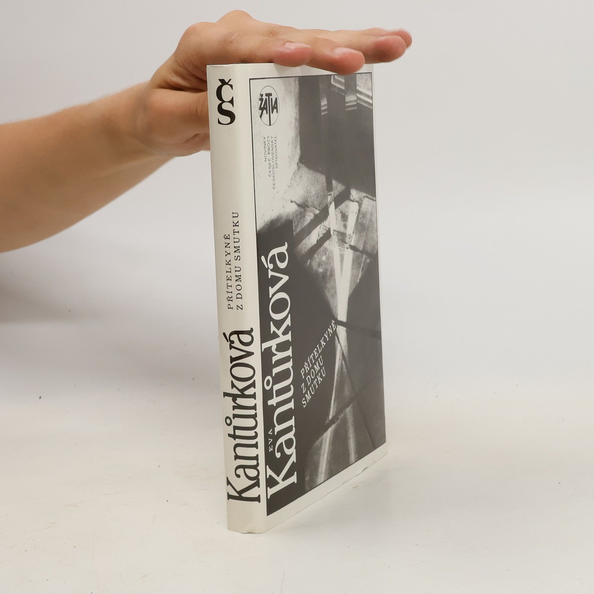 Eva Kantůrková Přítelkyně z domu smutku