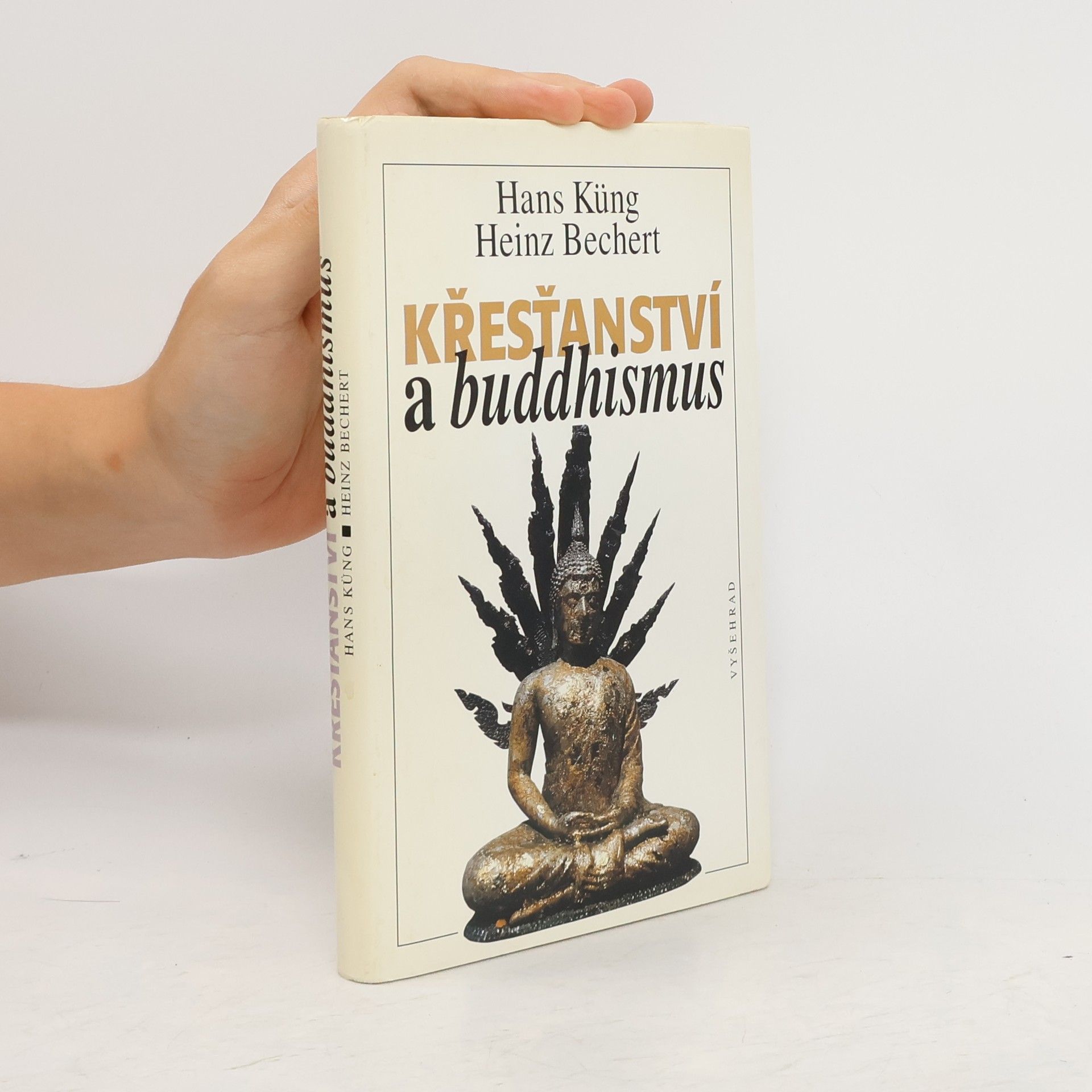 Hans Küng Křesťanství a buddhismus. Na cestě k dialogu