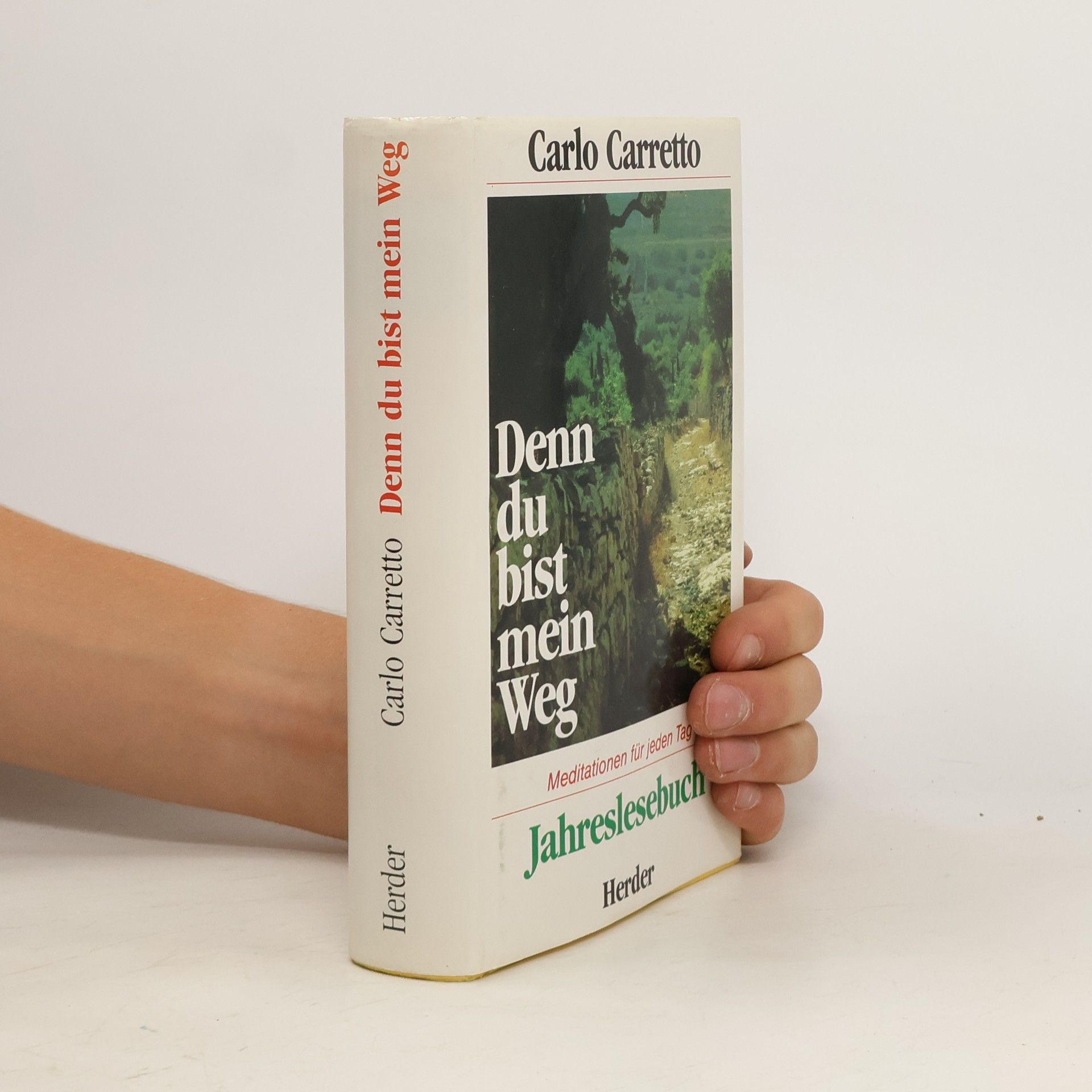 Carlo Carretto Denn du bist mein Weg