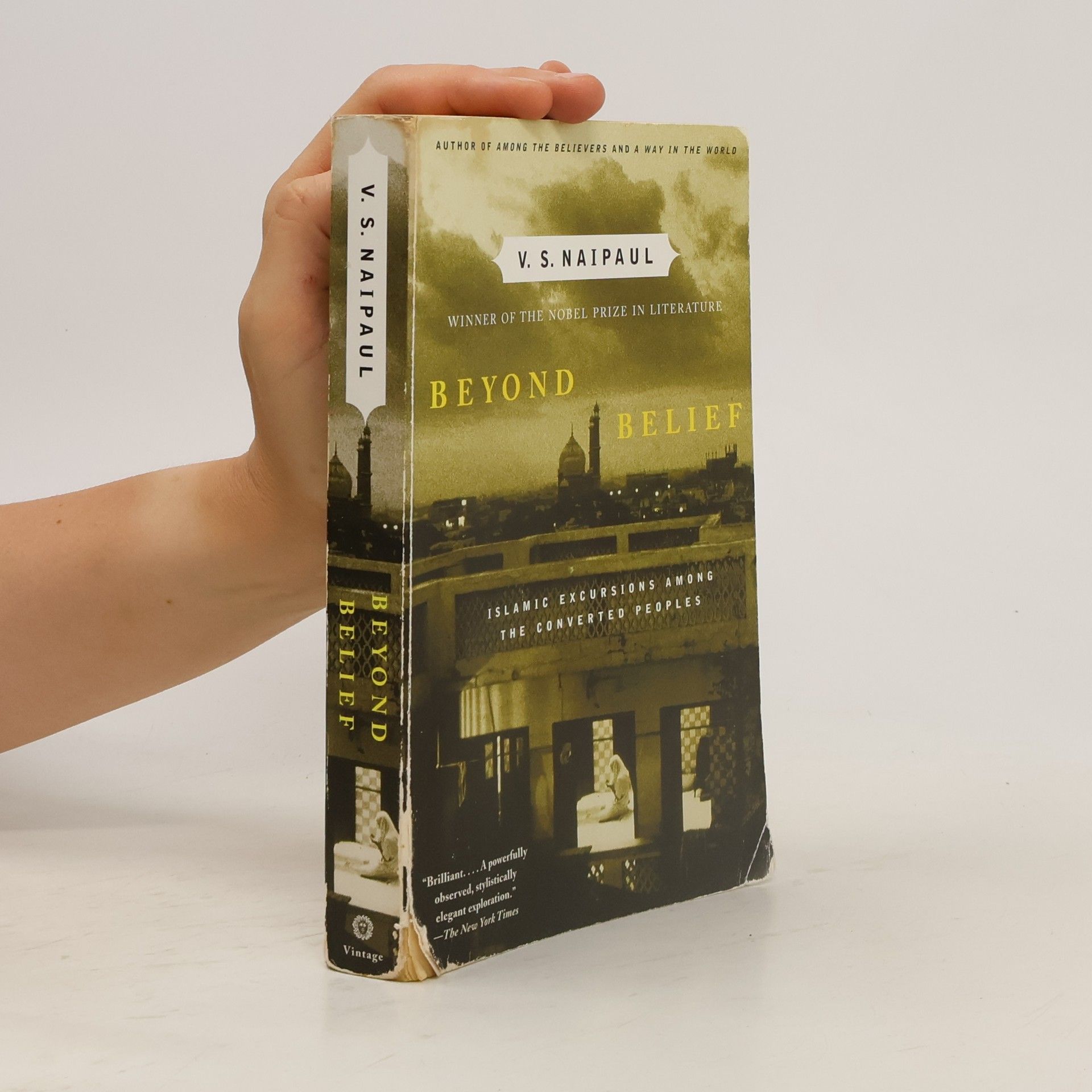 V. S. Naipaul Beyond Belief