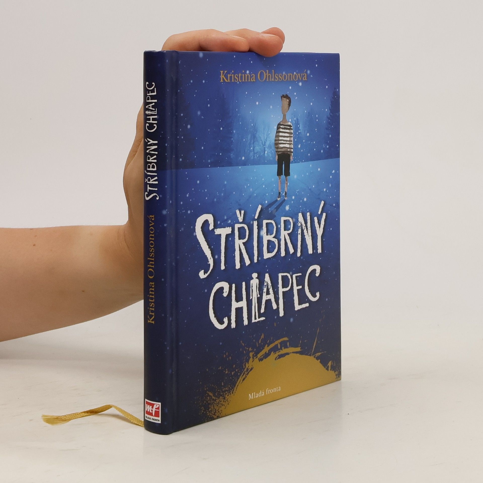 Kristina Ohlssonová Stříbrný chlapec