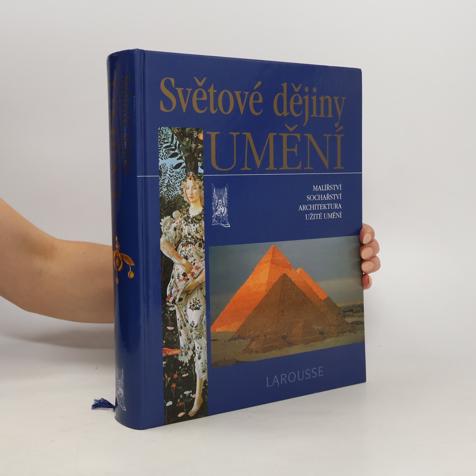 Albert Châtelet Světové dějiny umění : malířství, sochařství, architektura, užité umění