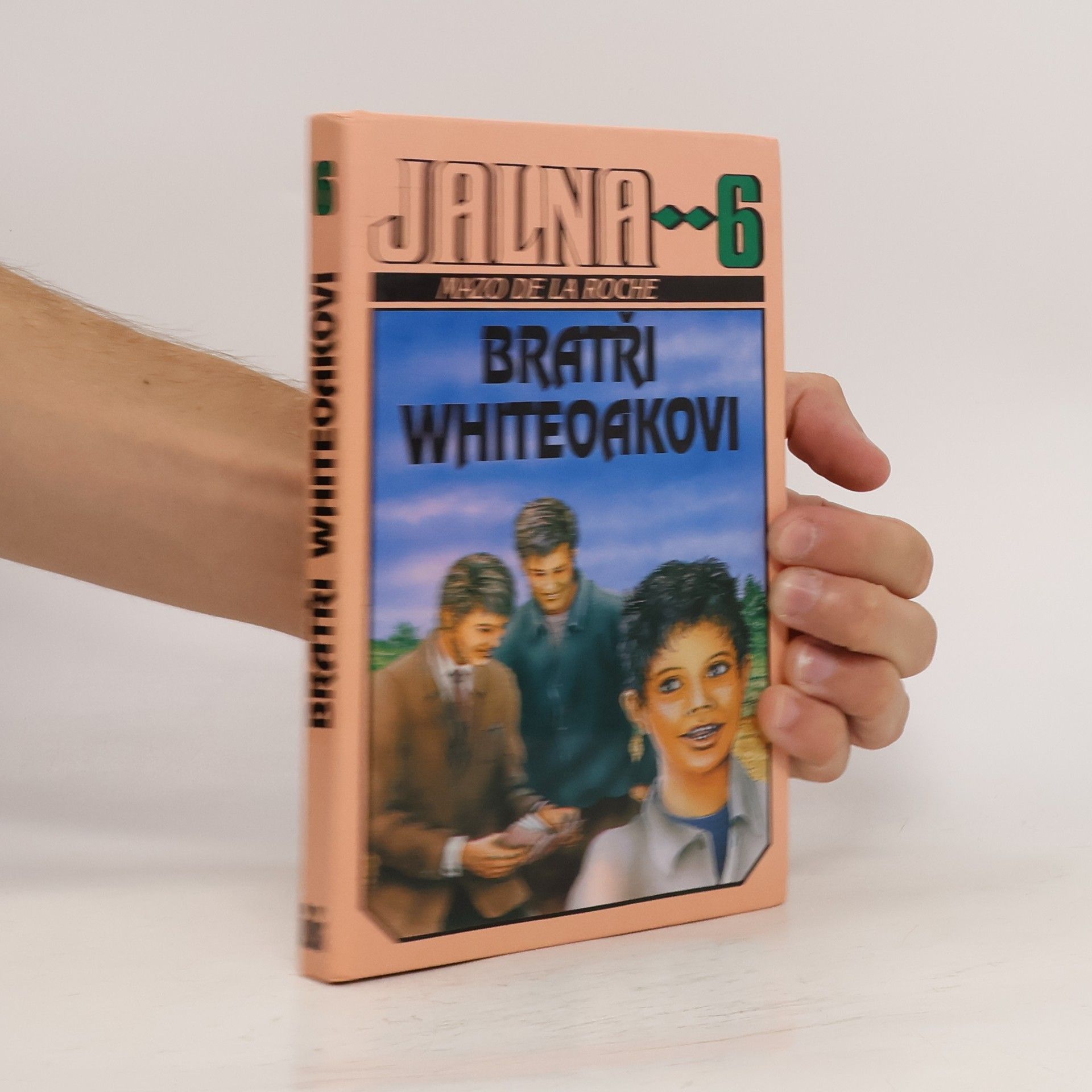 Mazo De la Roche Jalna. Díl 6, Bratři Whiteoakovi
