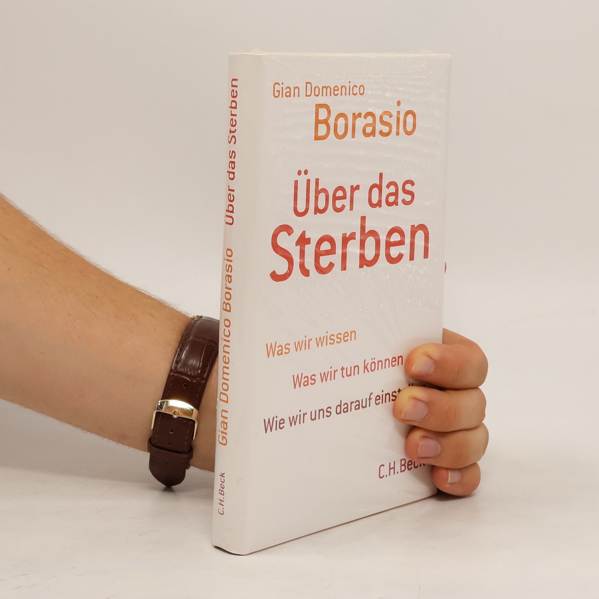 Gian Domenico Borasio Über das Sterben
