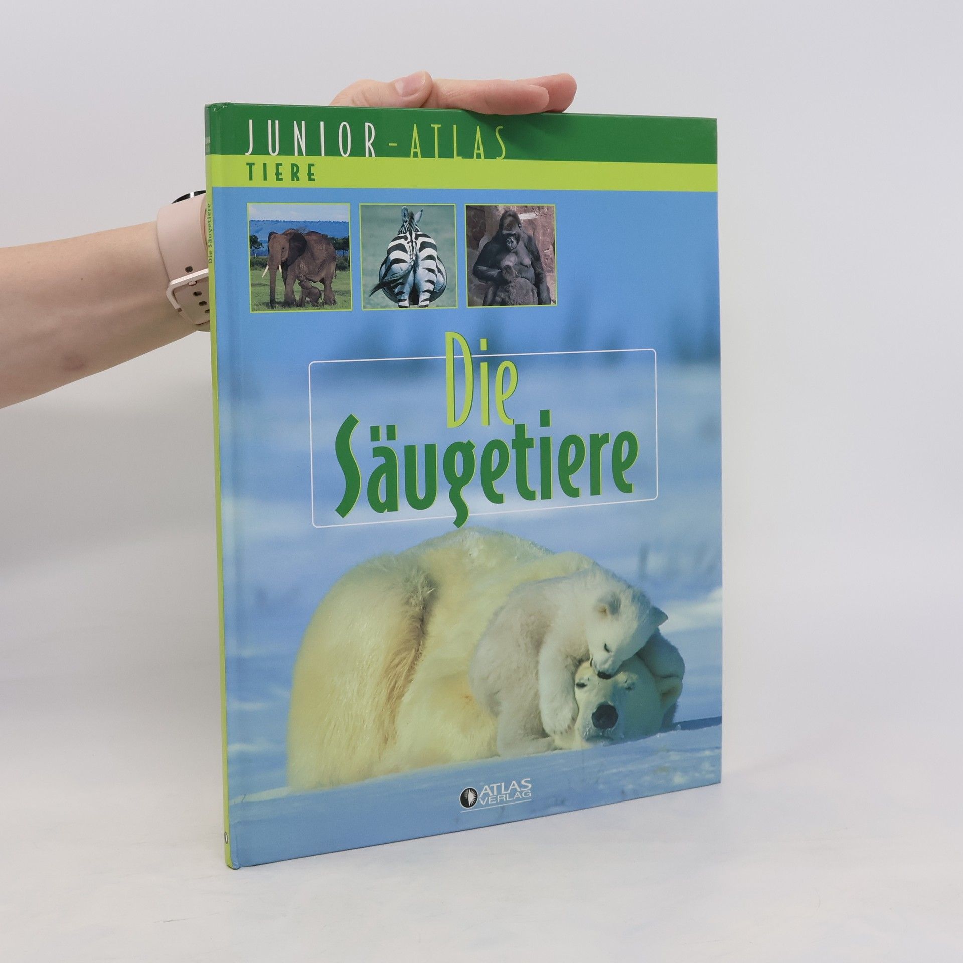 Collectif d'auteurs Savci