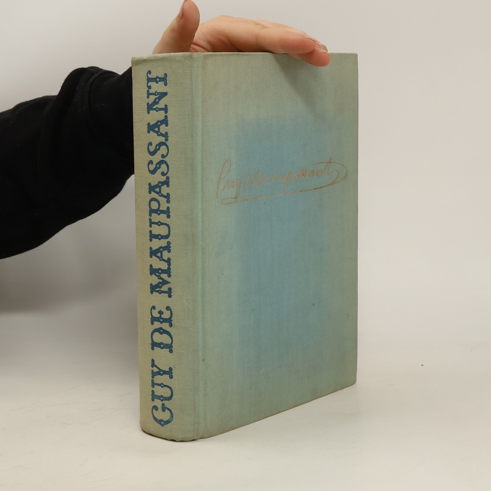 Guy de Maupassant Neděle Pařížského měšťáka