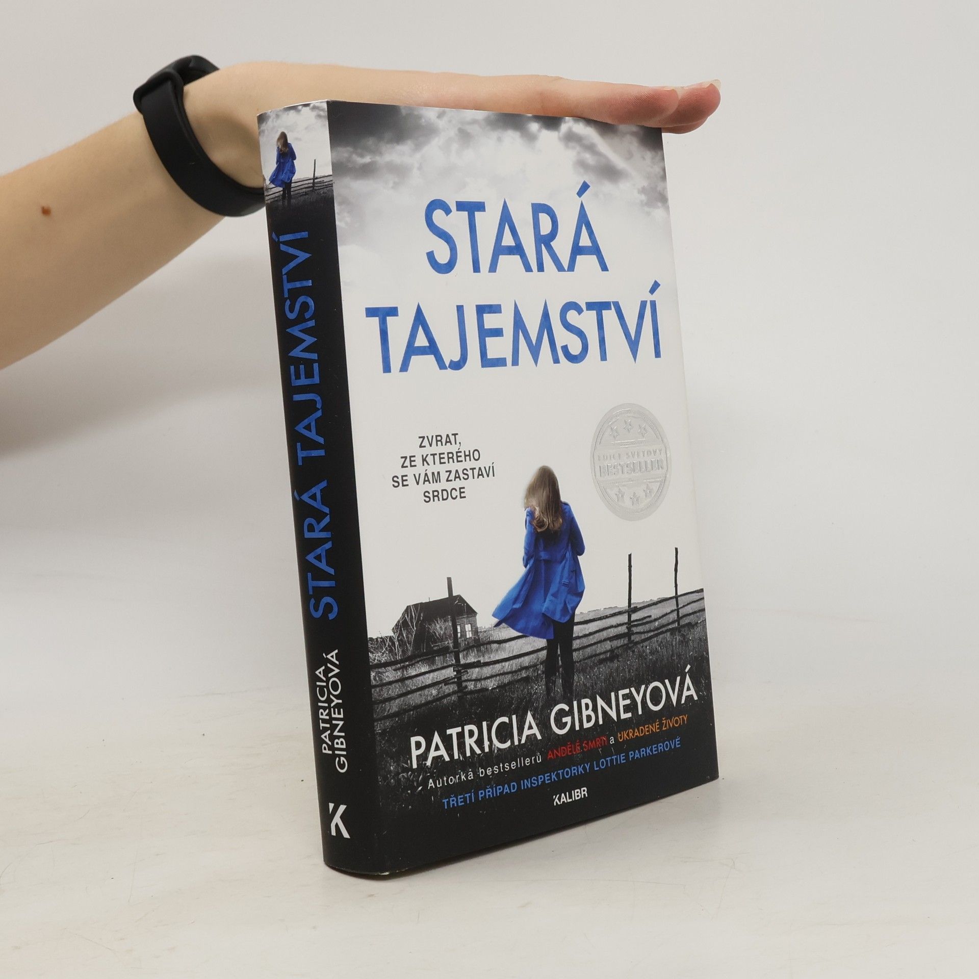 Patricia Gibney Stará tajemství