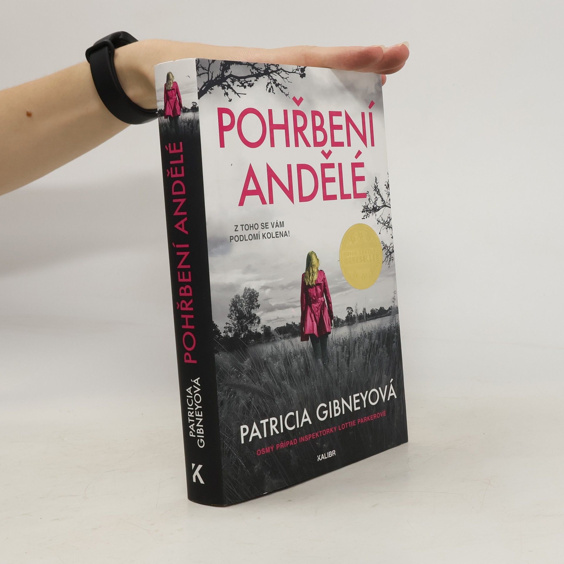 Drahomíra Michnová Pohřbení andělé