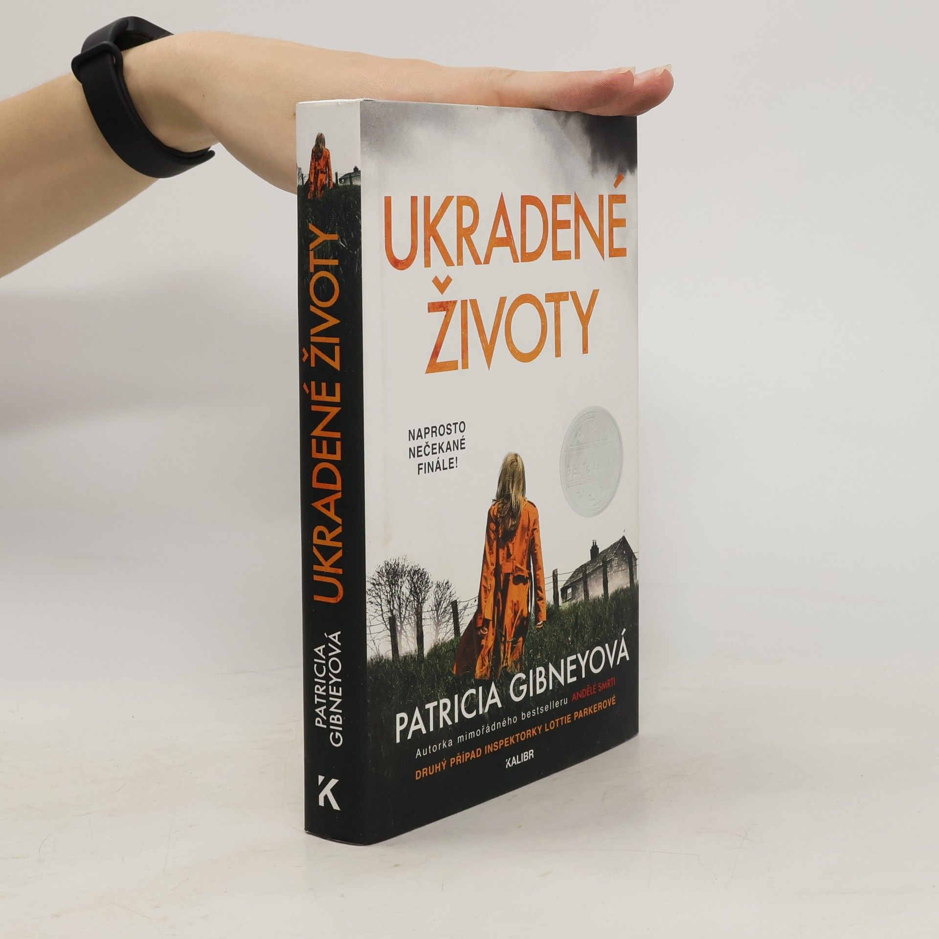 Patricia Gibney Ukradené životy