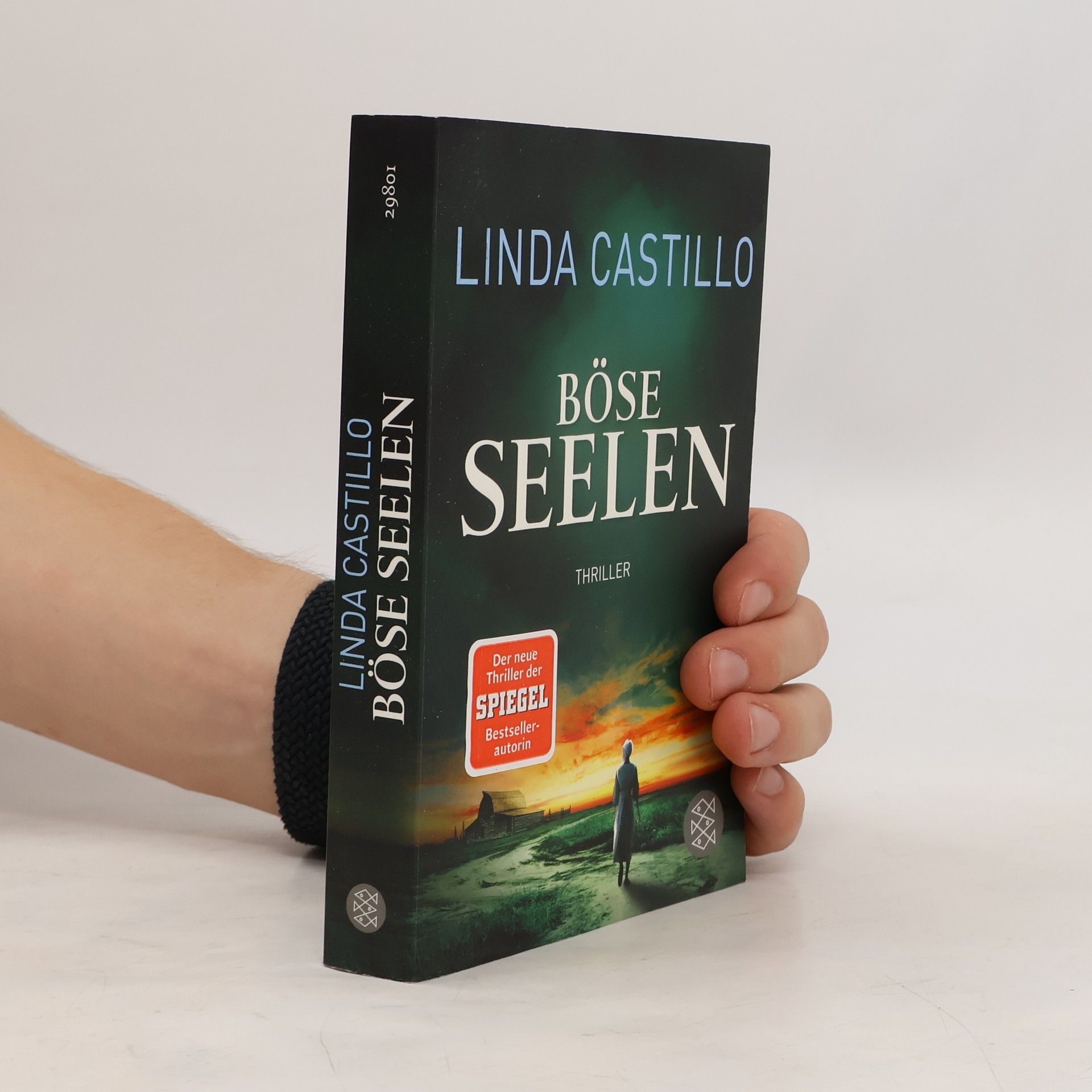 Linda Castillo Böse Seelen
