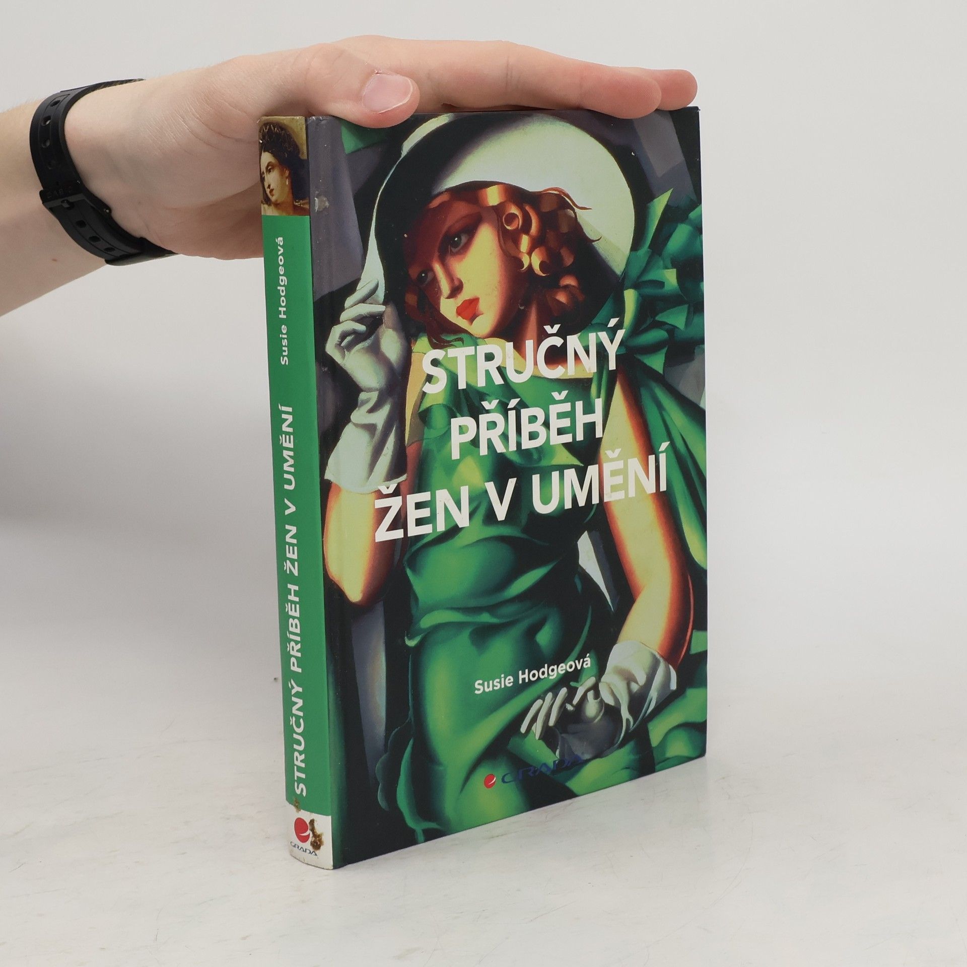 Susie Hodge Stručný příběh žen v umění : kapesní průvodce klíčovými hnutími, díly, průlomovými okamžiky a tématy