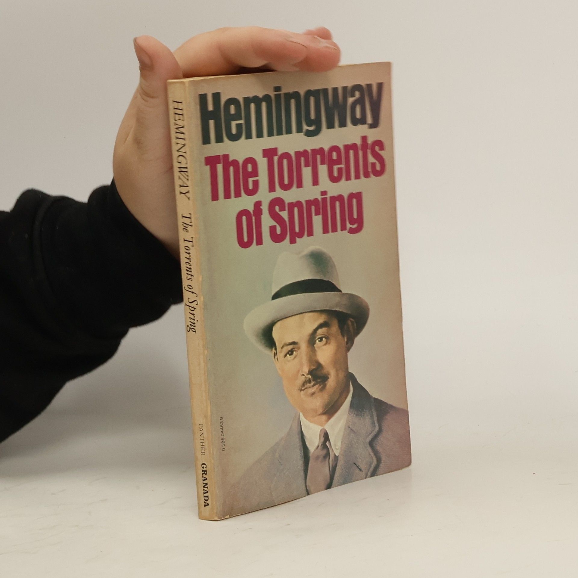 Ernest Hemingway The Torrents of Spring