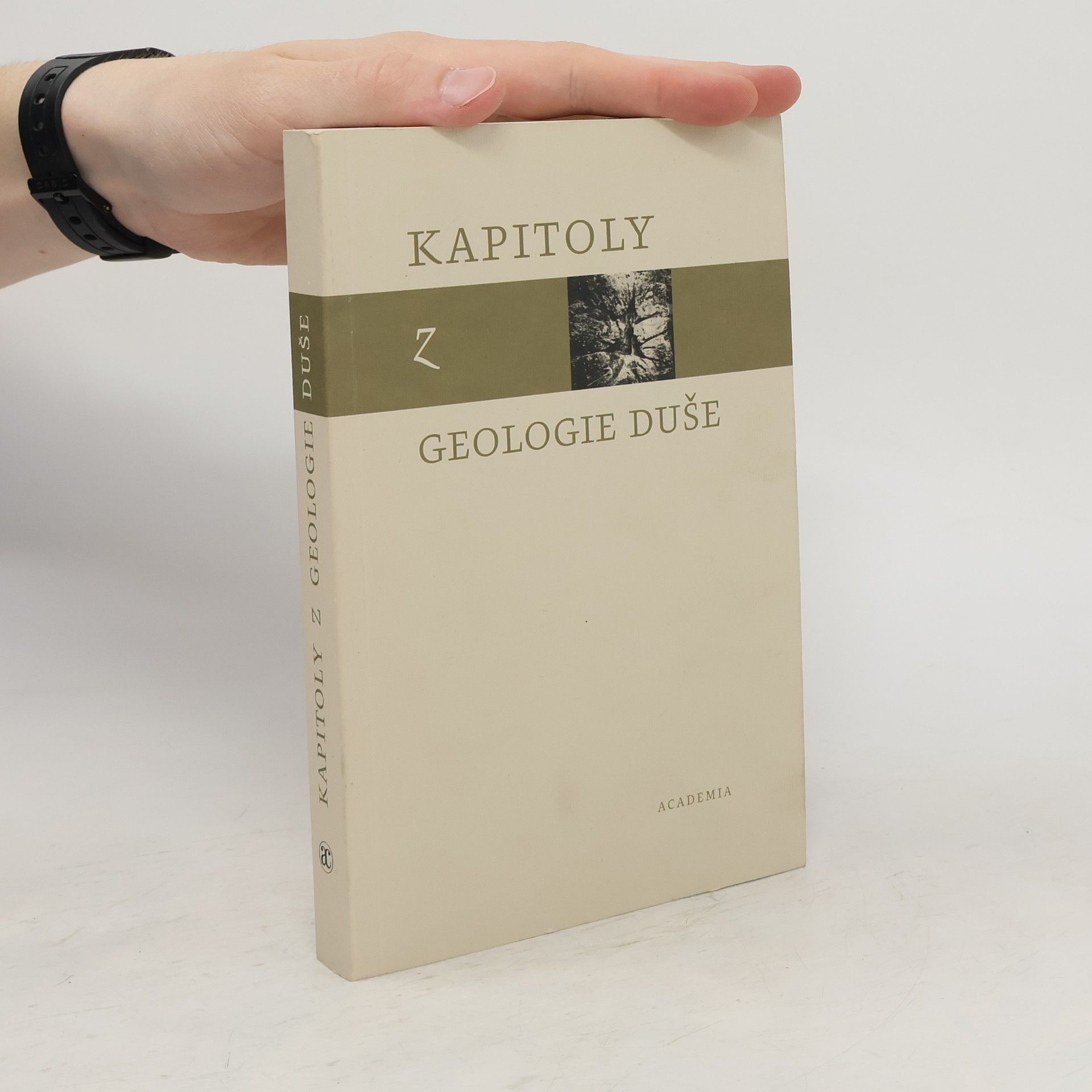 kolektiv Kapitoly z geologie duše