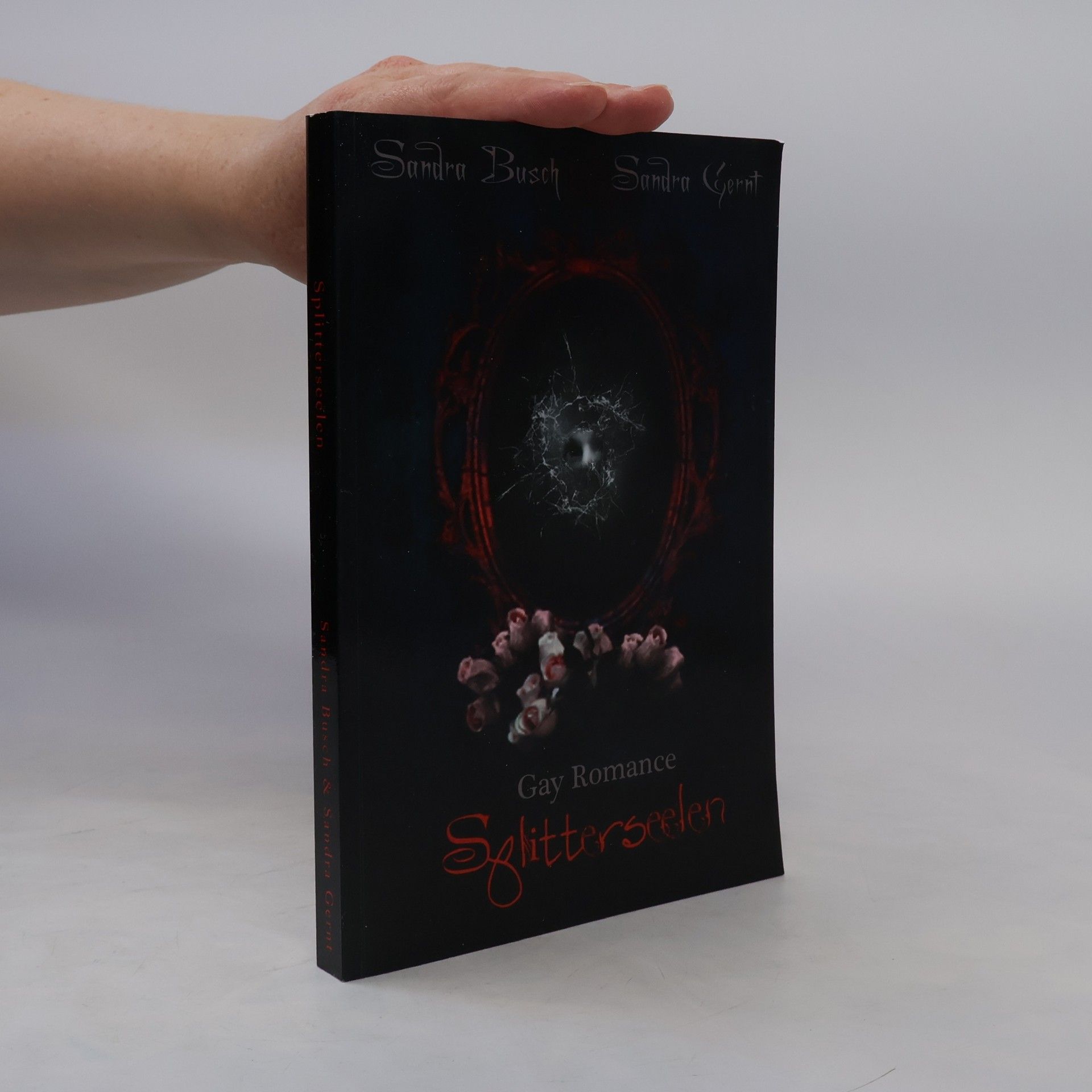 Sandra Busch-Hellwig Splitterseelen