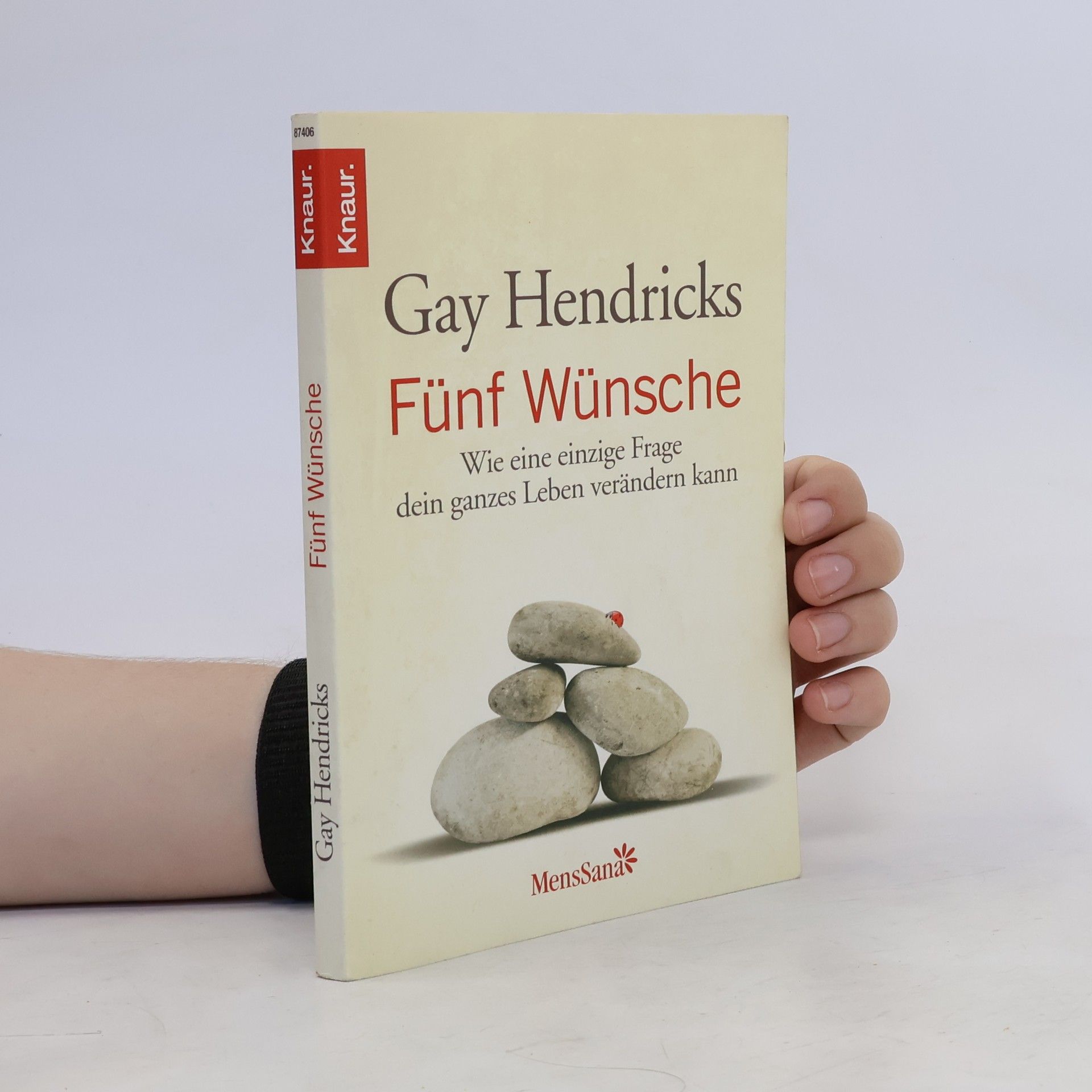 Gay Hendricks Fünf Wünsche